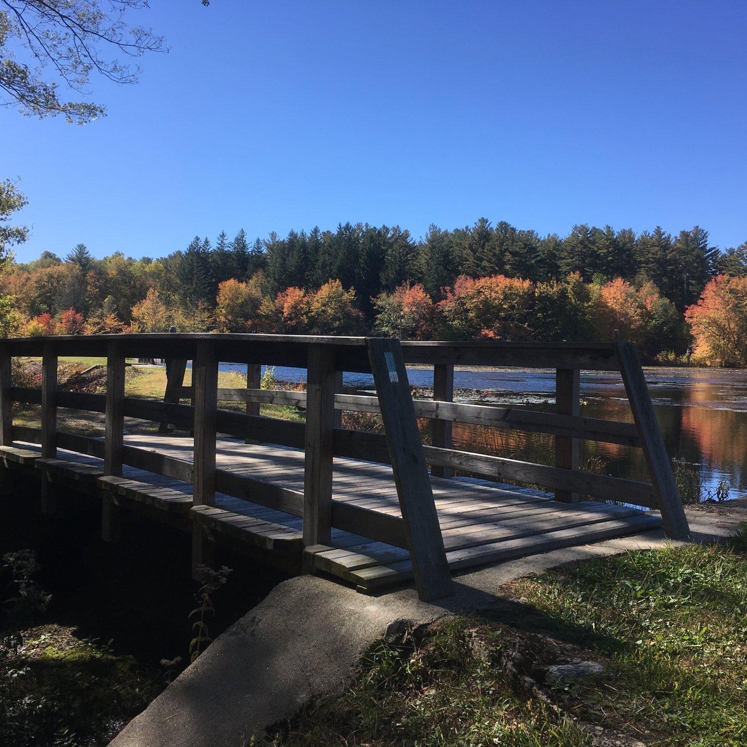 Photo by PatriciaS6392