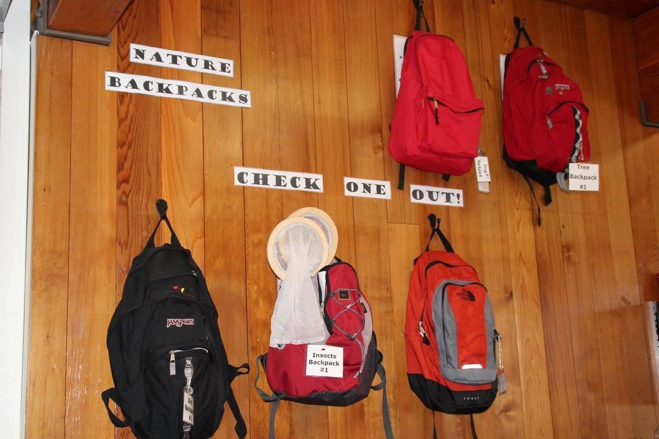 Photo by safechrisLaurie