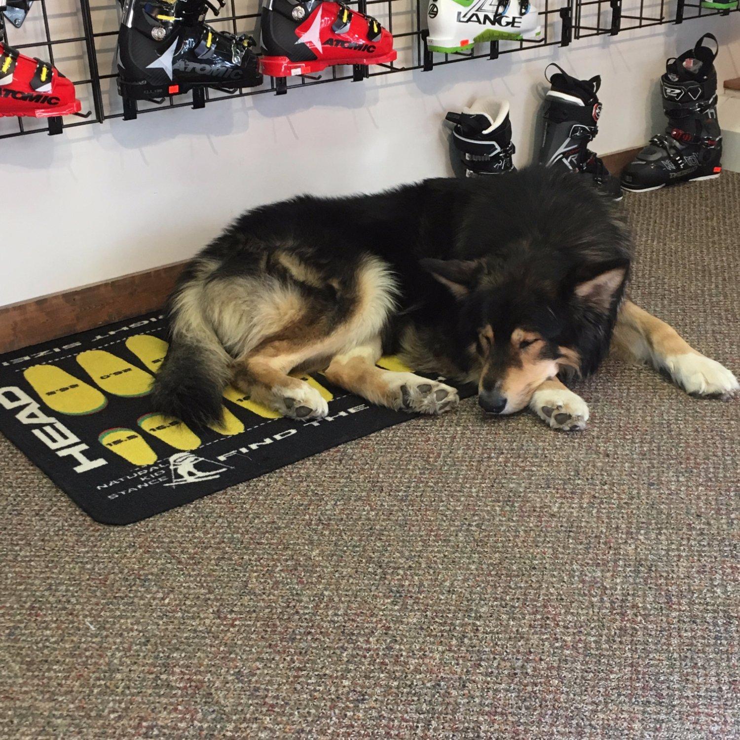 McSporties - Day Rentals