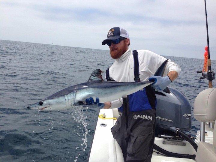 The Fly Stop Guided Charters