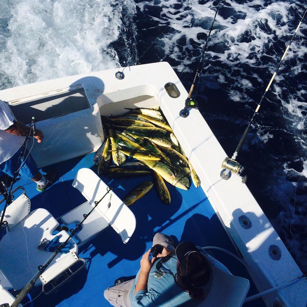 Seaducer Sportfishing Charters