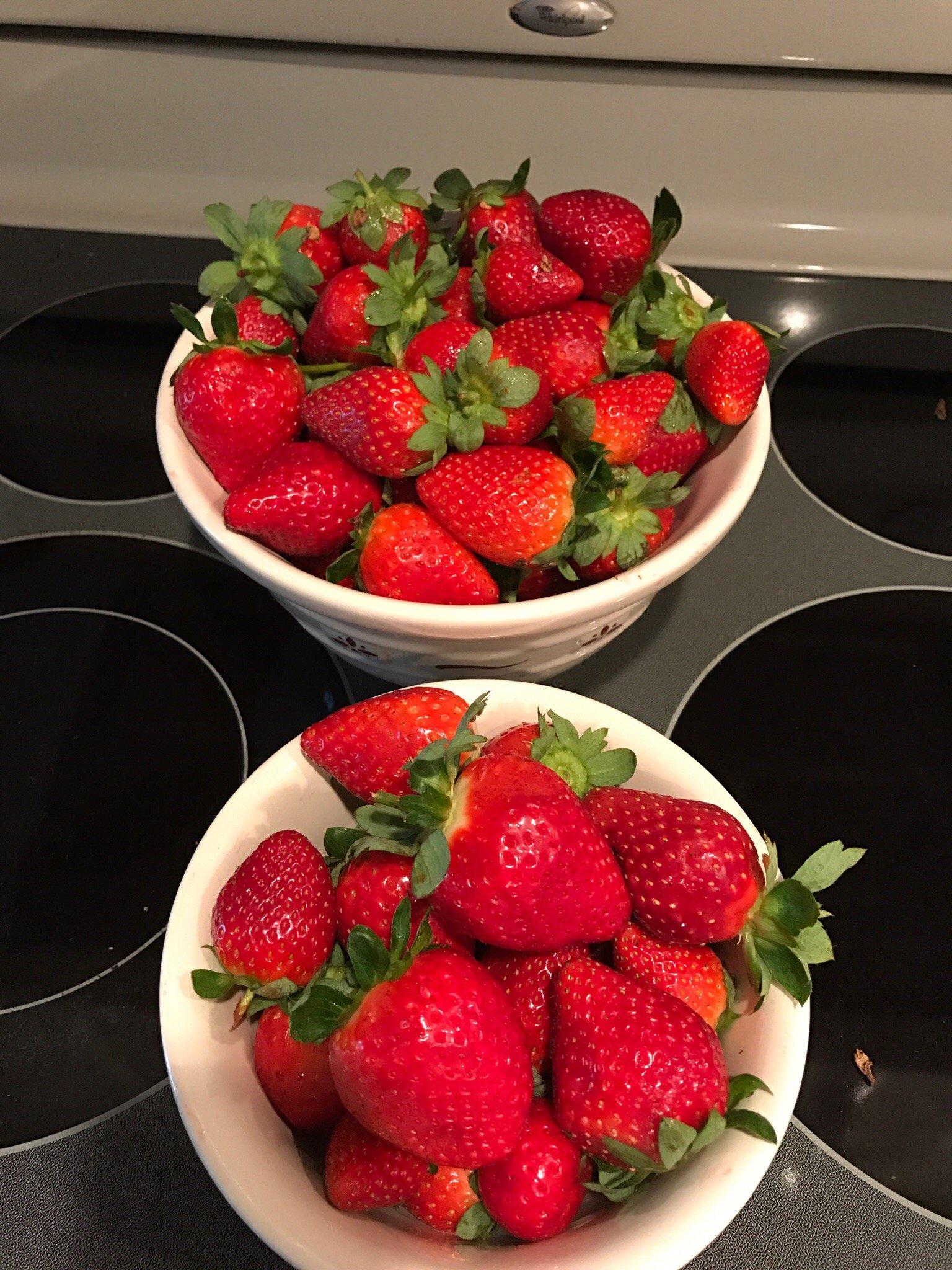 Farmer Mikes U Pick Of Bonita Springs