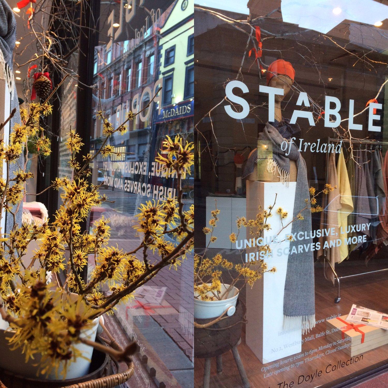 STABLE of Ireland, Dublin City Centre