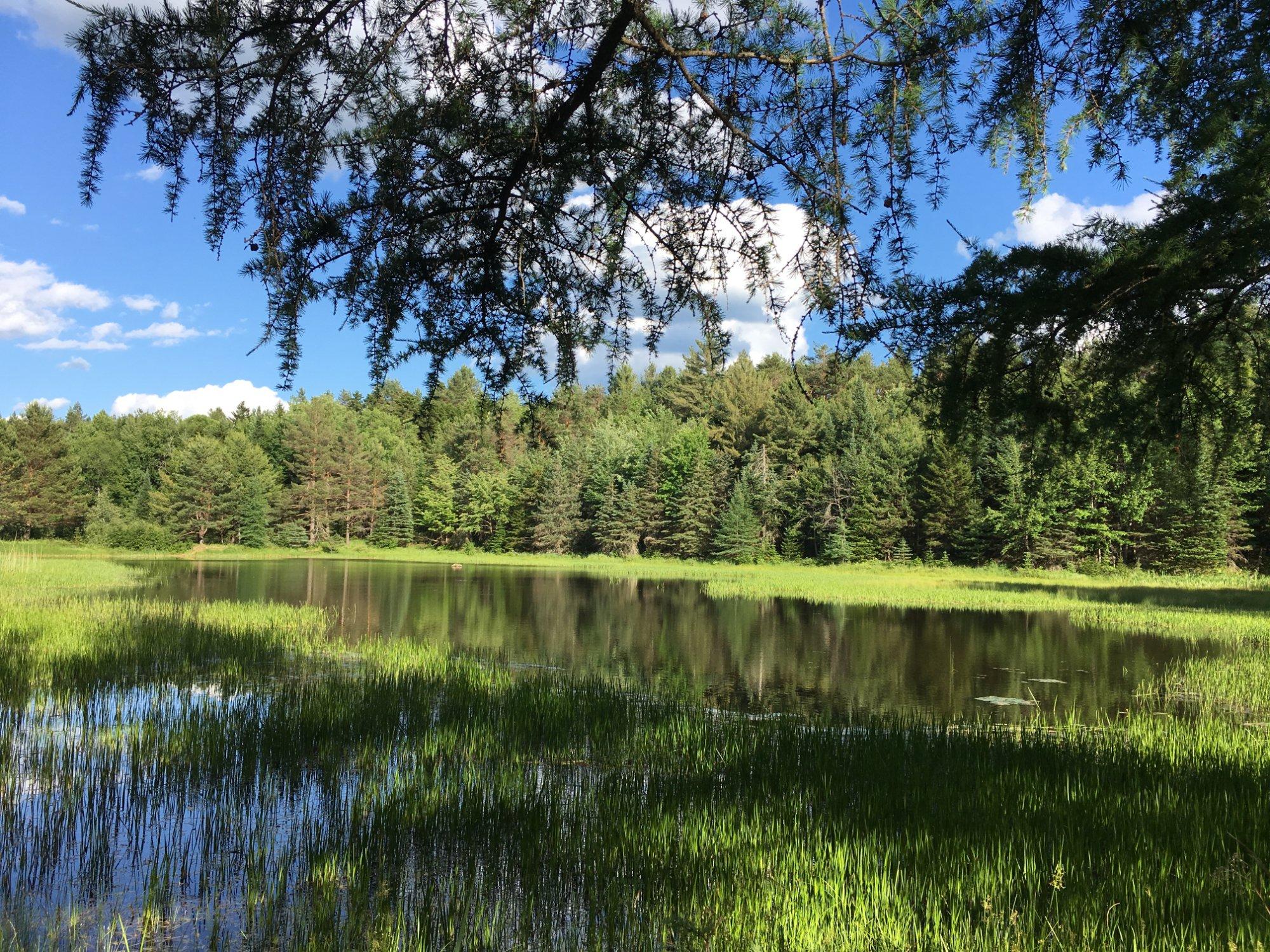 Higley Flow State Park