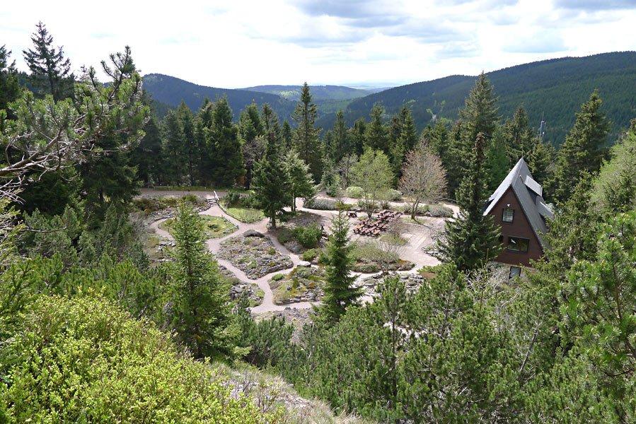 Rennsteiggarten Oberhof