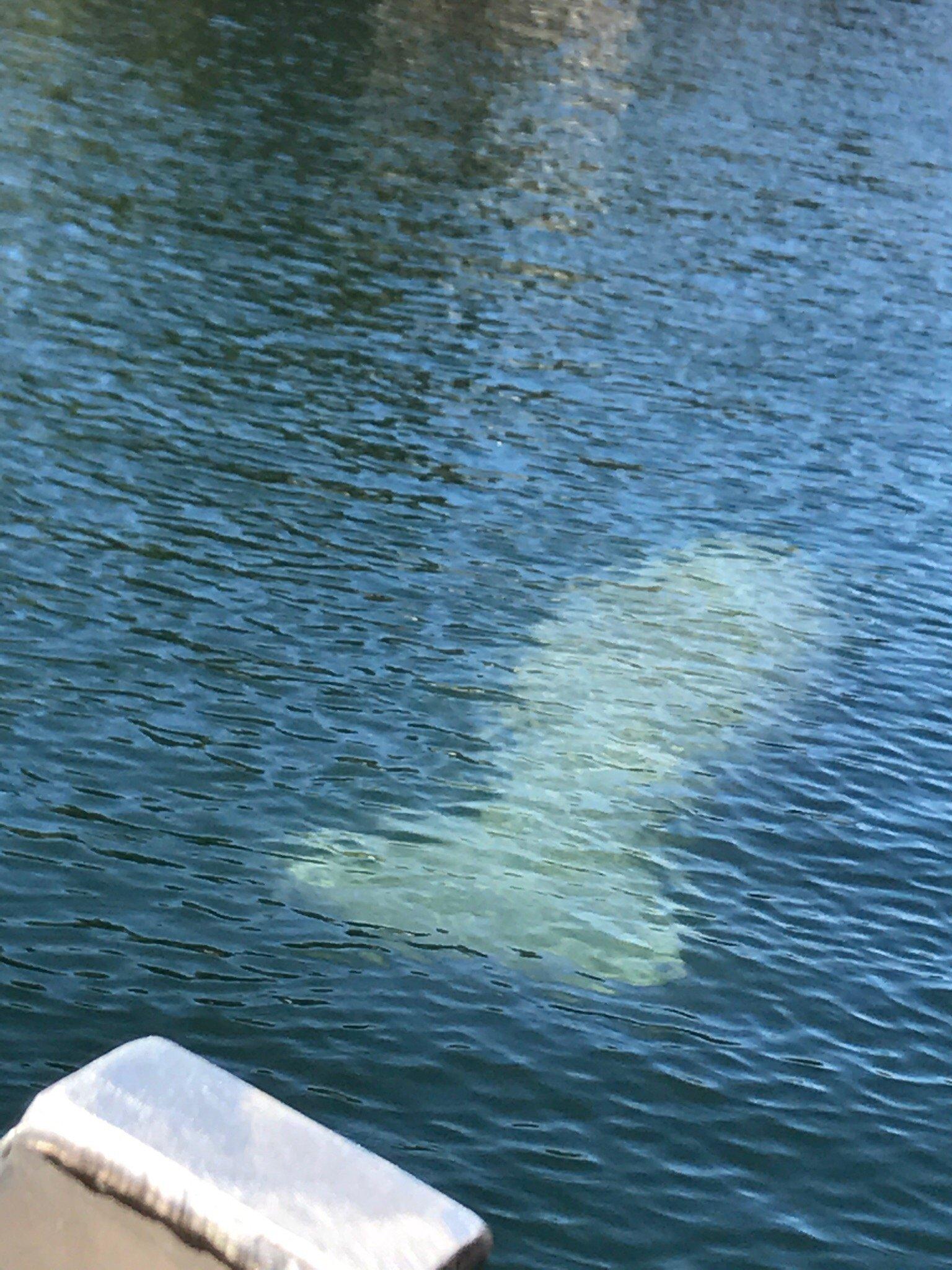 Conchy Charters & Sunset Cruises