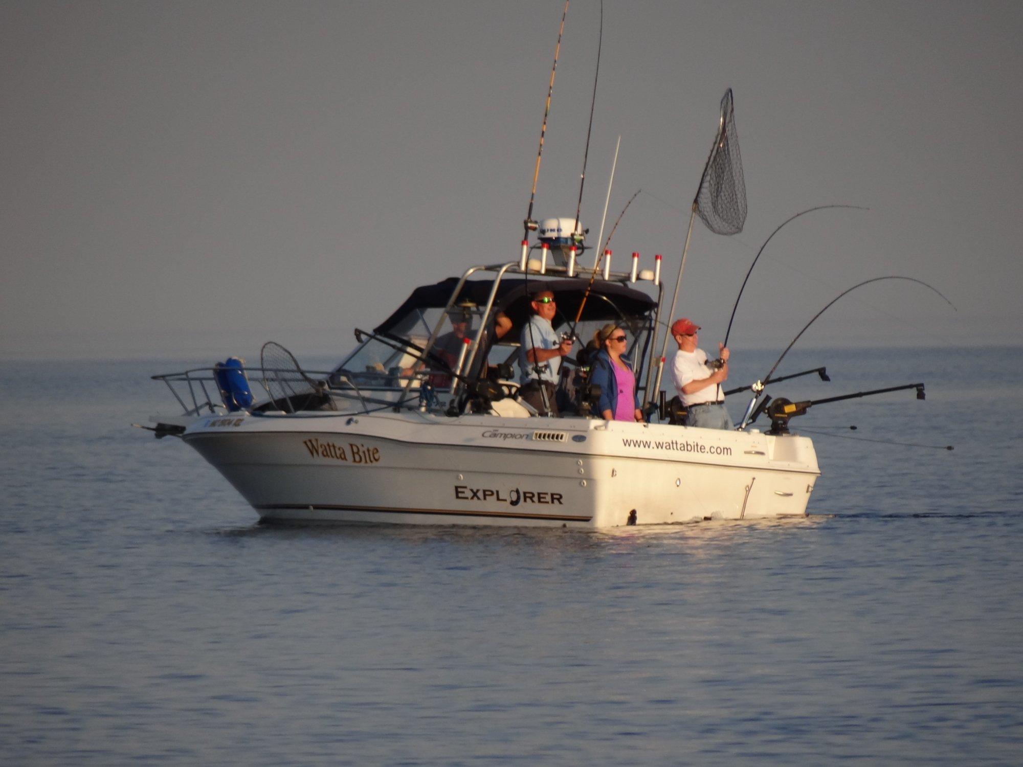 Watta Bite Charter Fishing