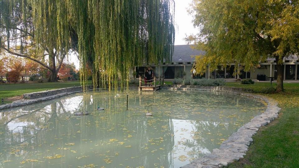 Mettler Family Vineyards