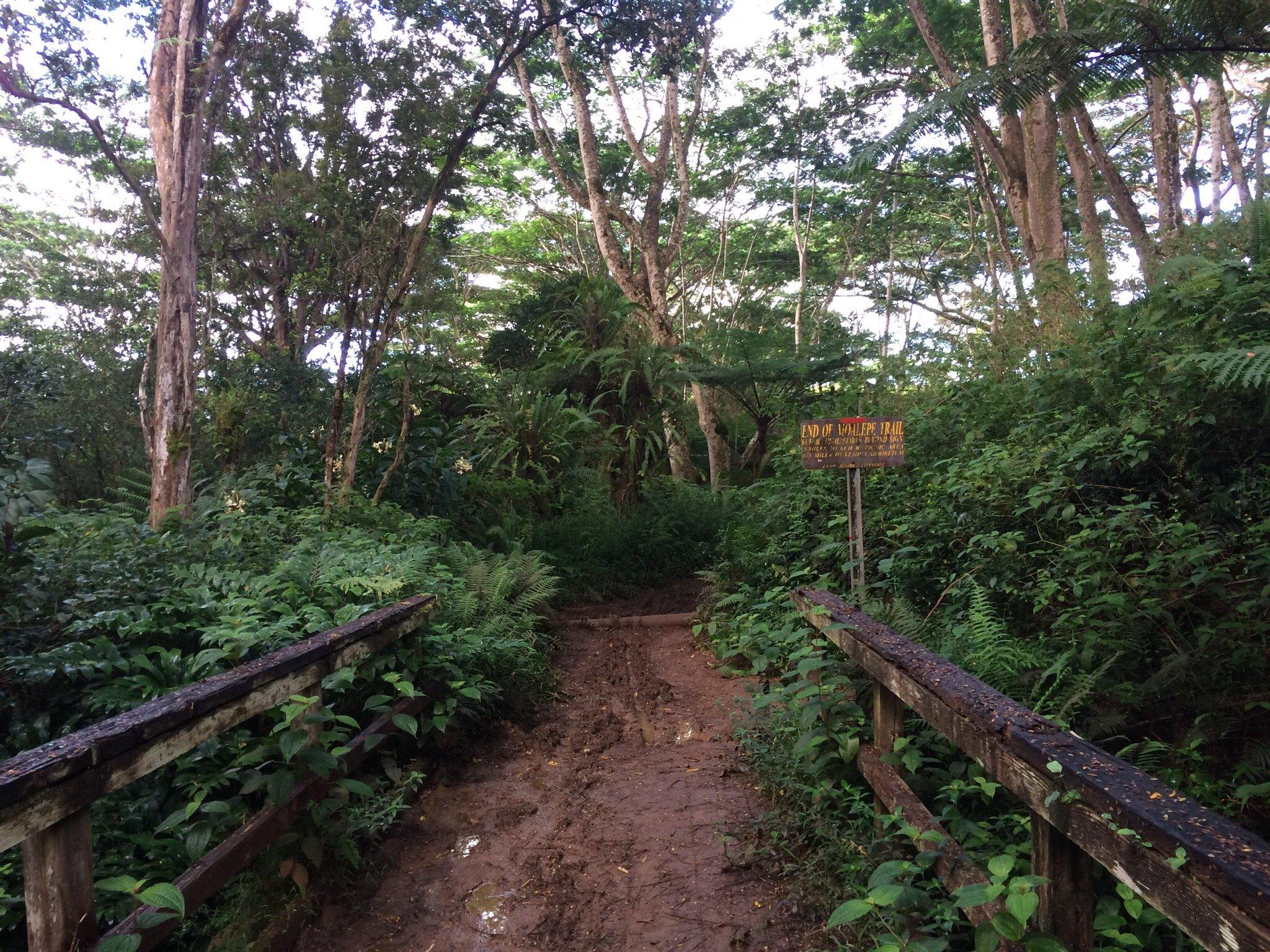 Moalepe Trail