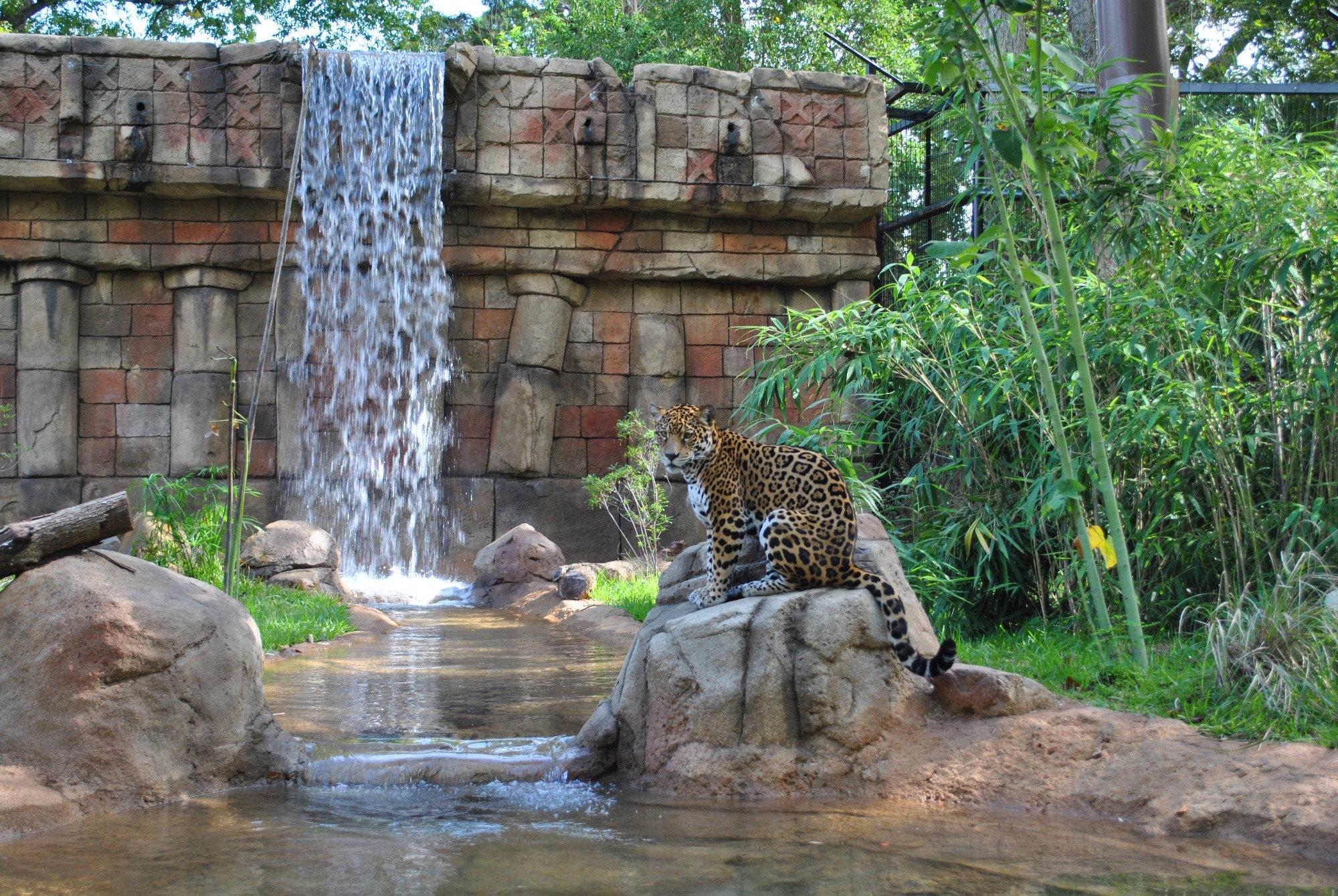 Alexandria Zoological Park