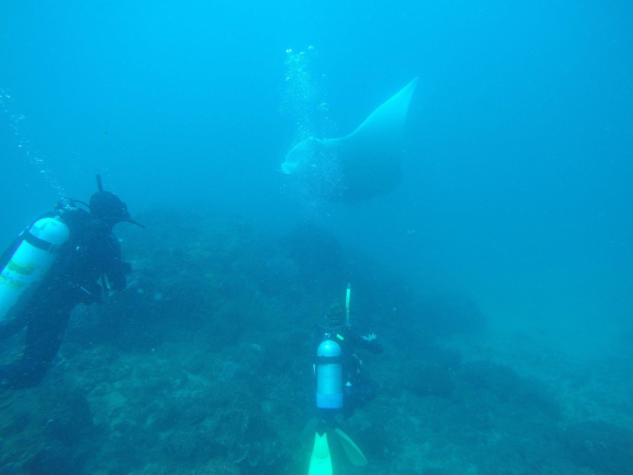 Photo by 527anthonyn