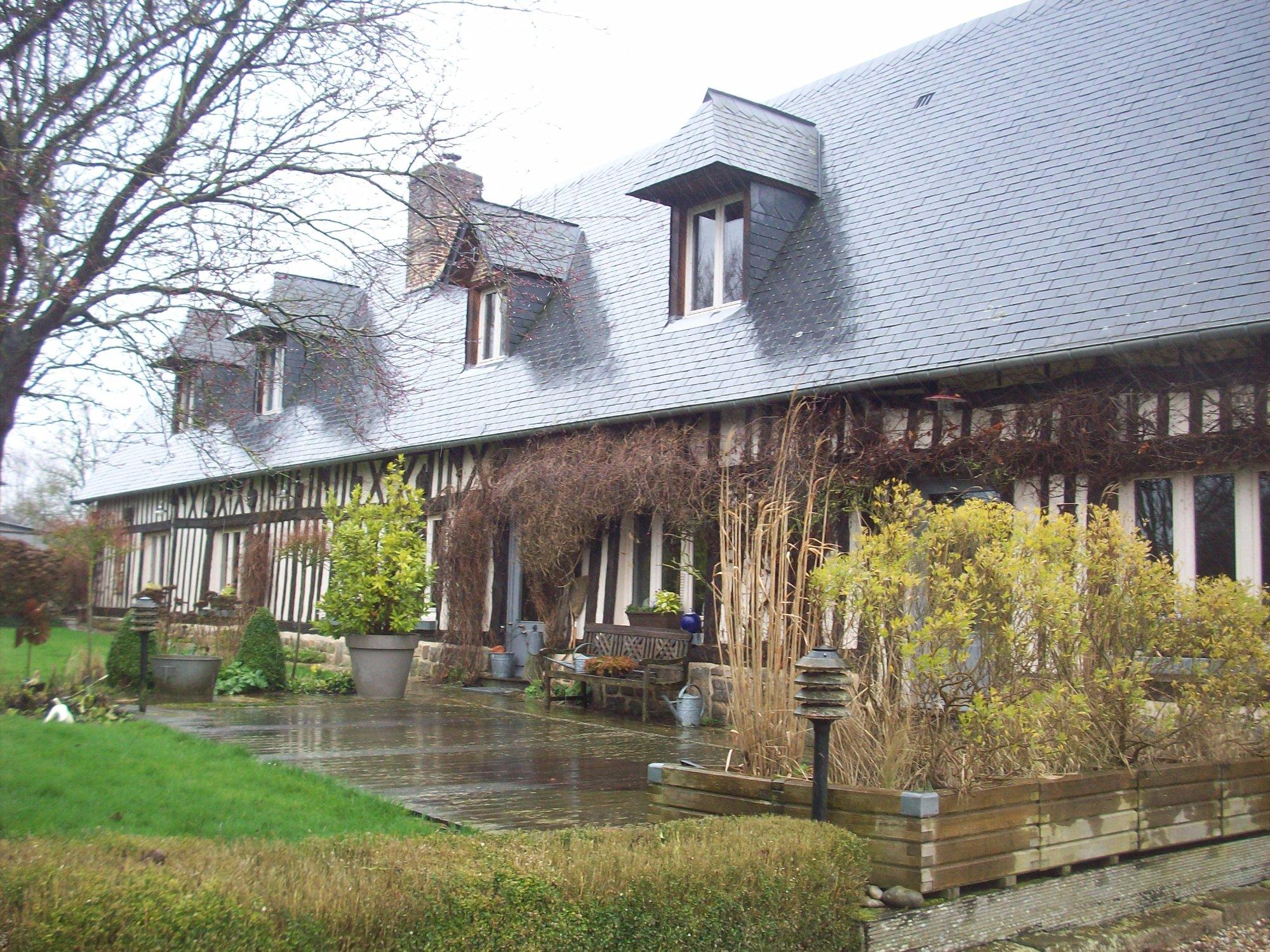 Les Roses Trémières