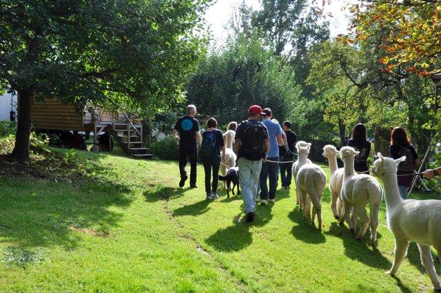 Alpaka Weilachmuehle