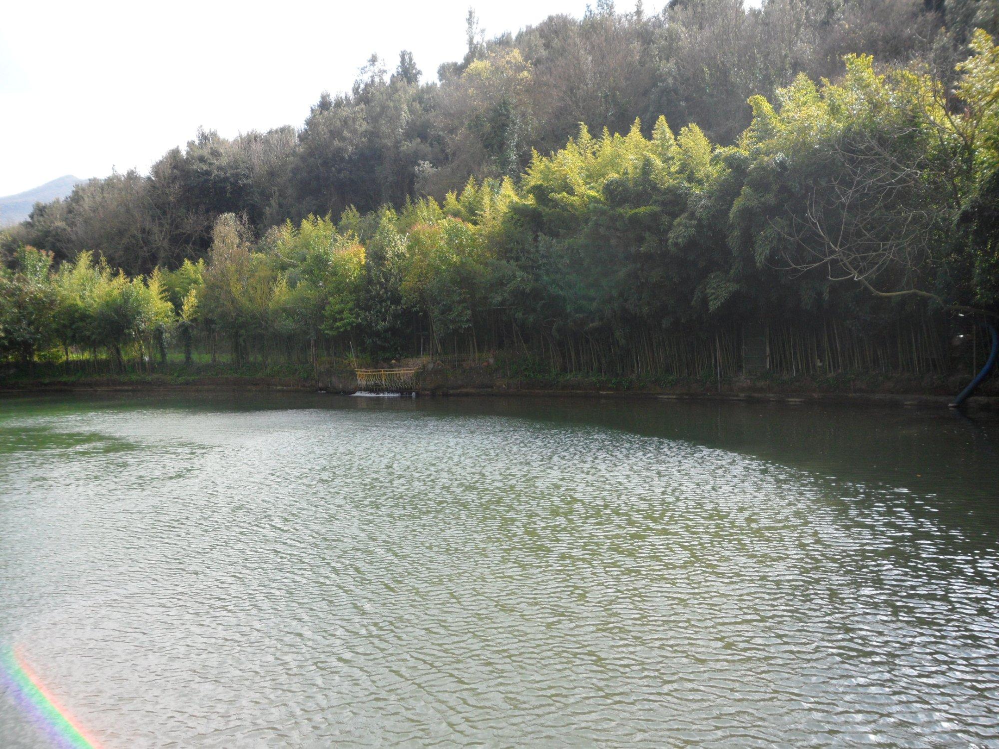 Lago Verde