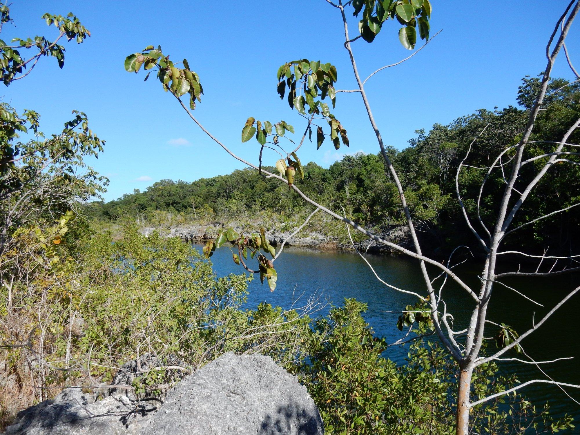 Dagny Johnson Key Largo Hammock Botanical State Park