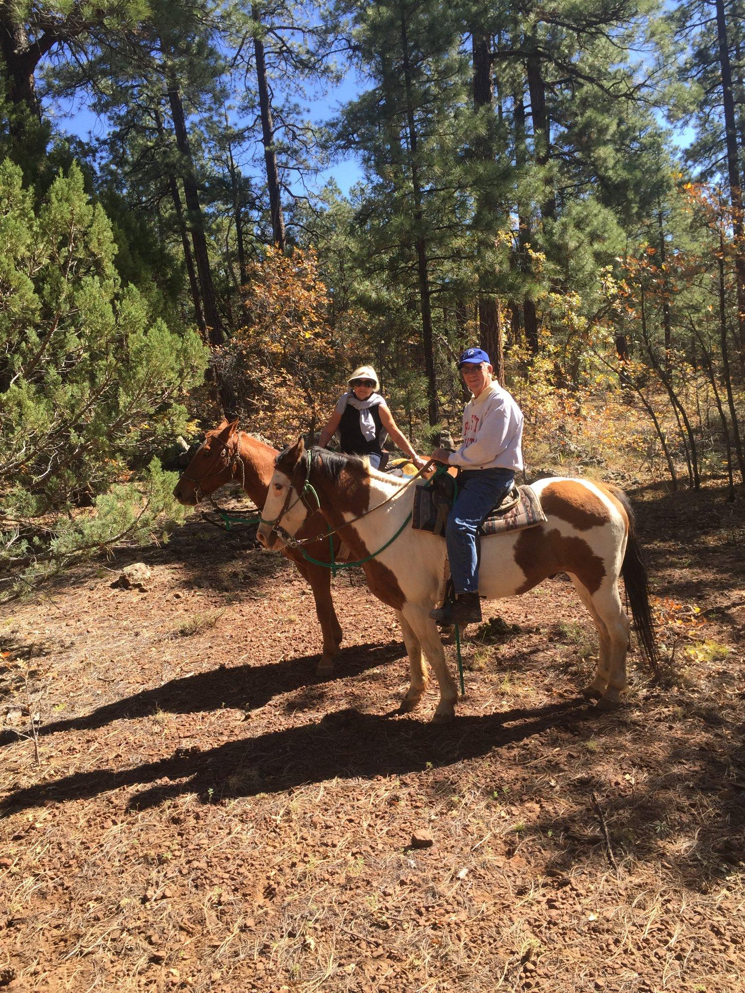 Pinetop Lakes Equestrian Center