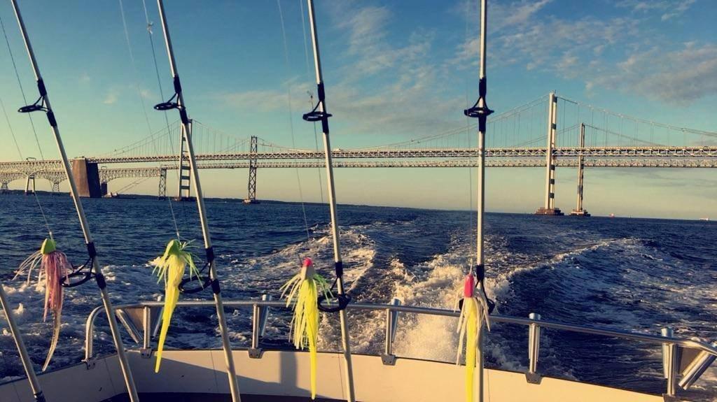 Chesapeake Bay Charter Services