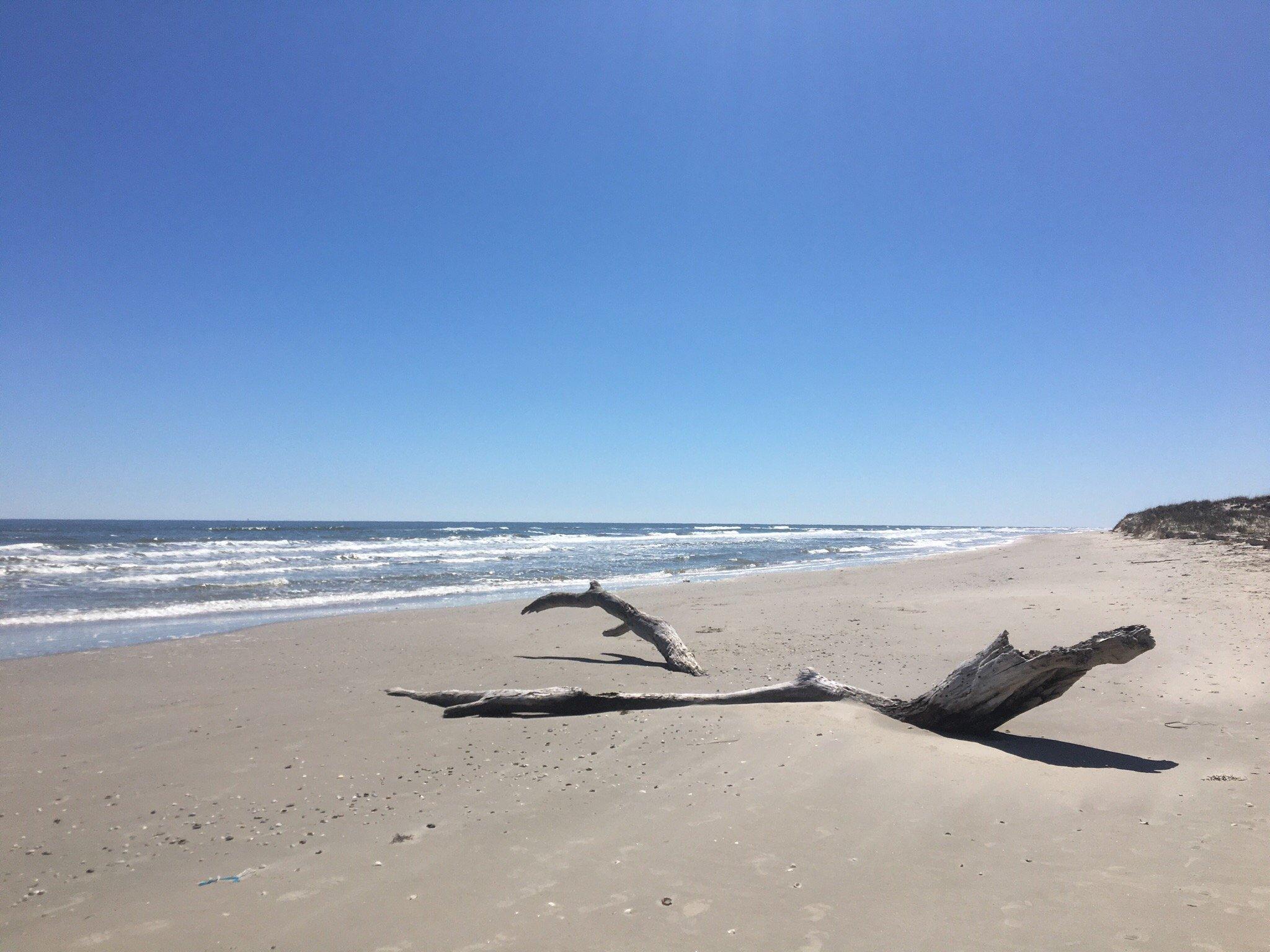 Matagorda Island Wildlife Management Area