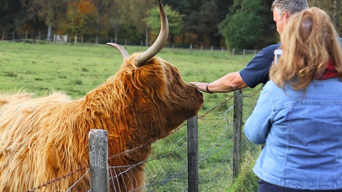 Highland Experience Tours Edinburgh