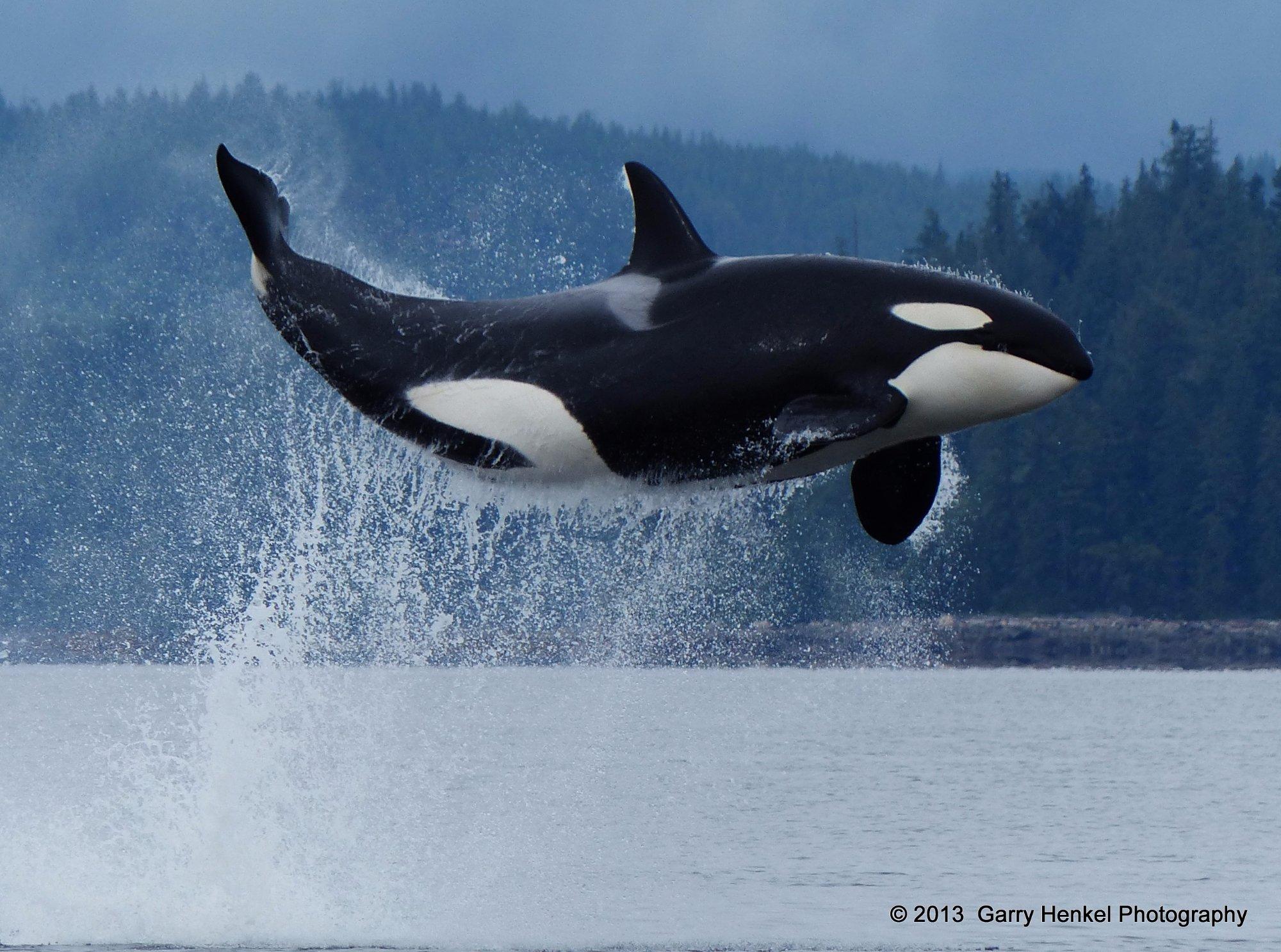 Aboriginal Journeys - Wildlife And Adventure Tours