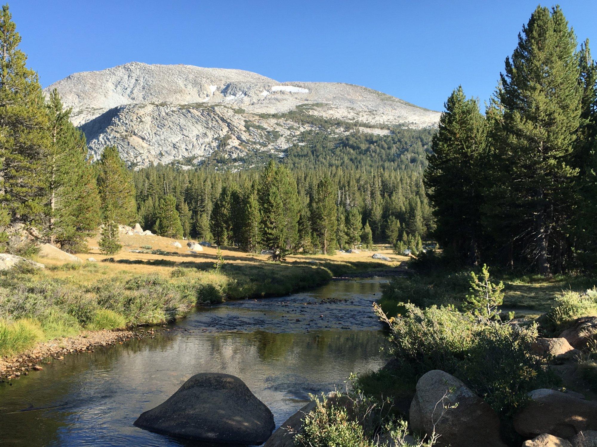 Tuolumne Meadows