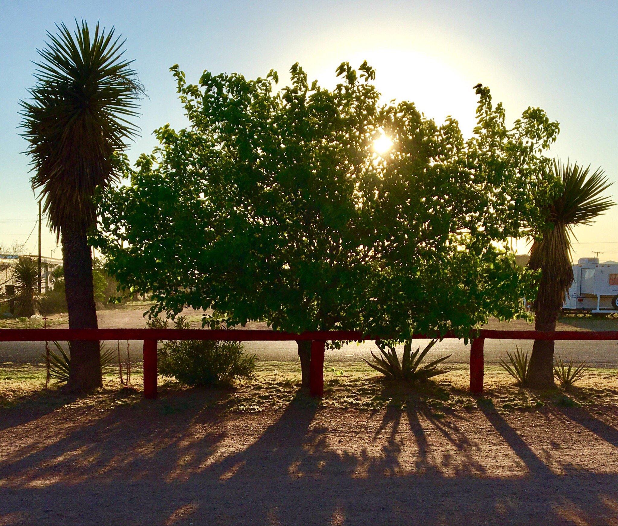 Desert Willow RV Park