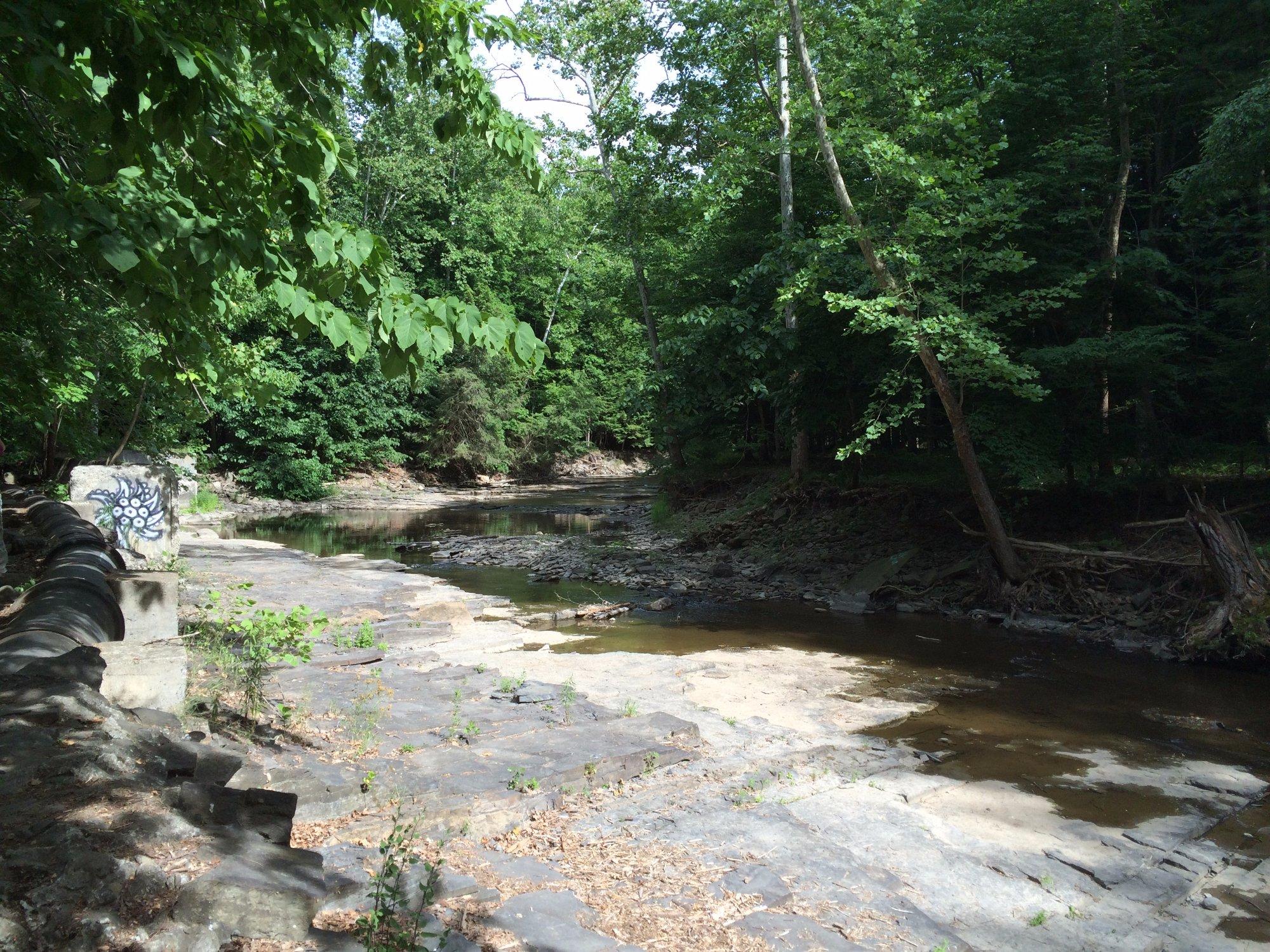 Mulholland Wildflower Preserve