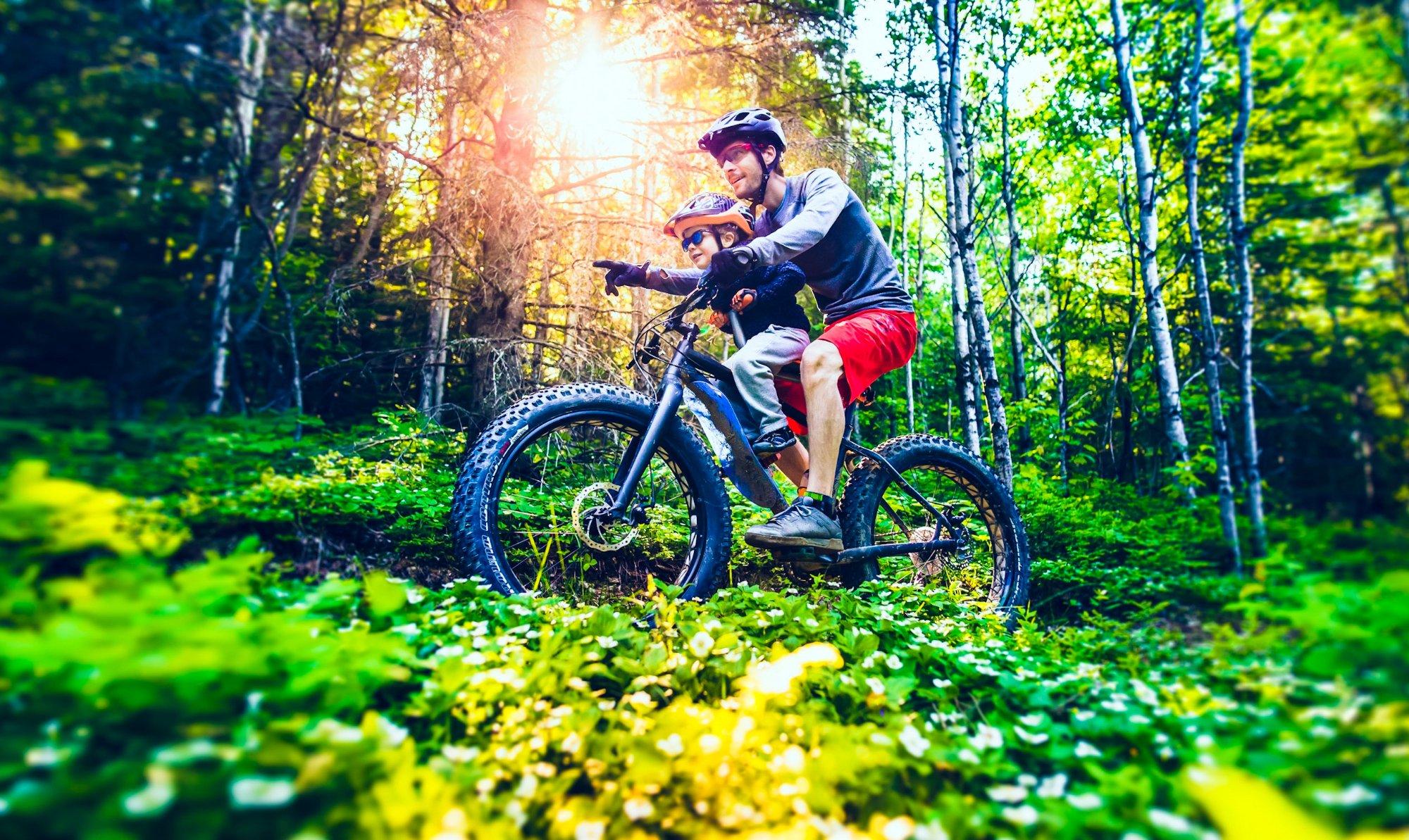 Sentier Madawaska Trails