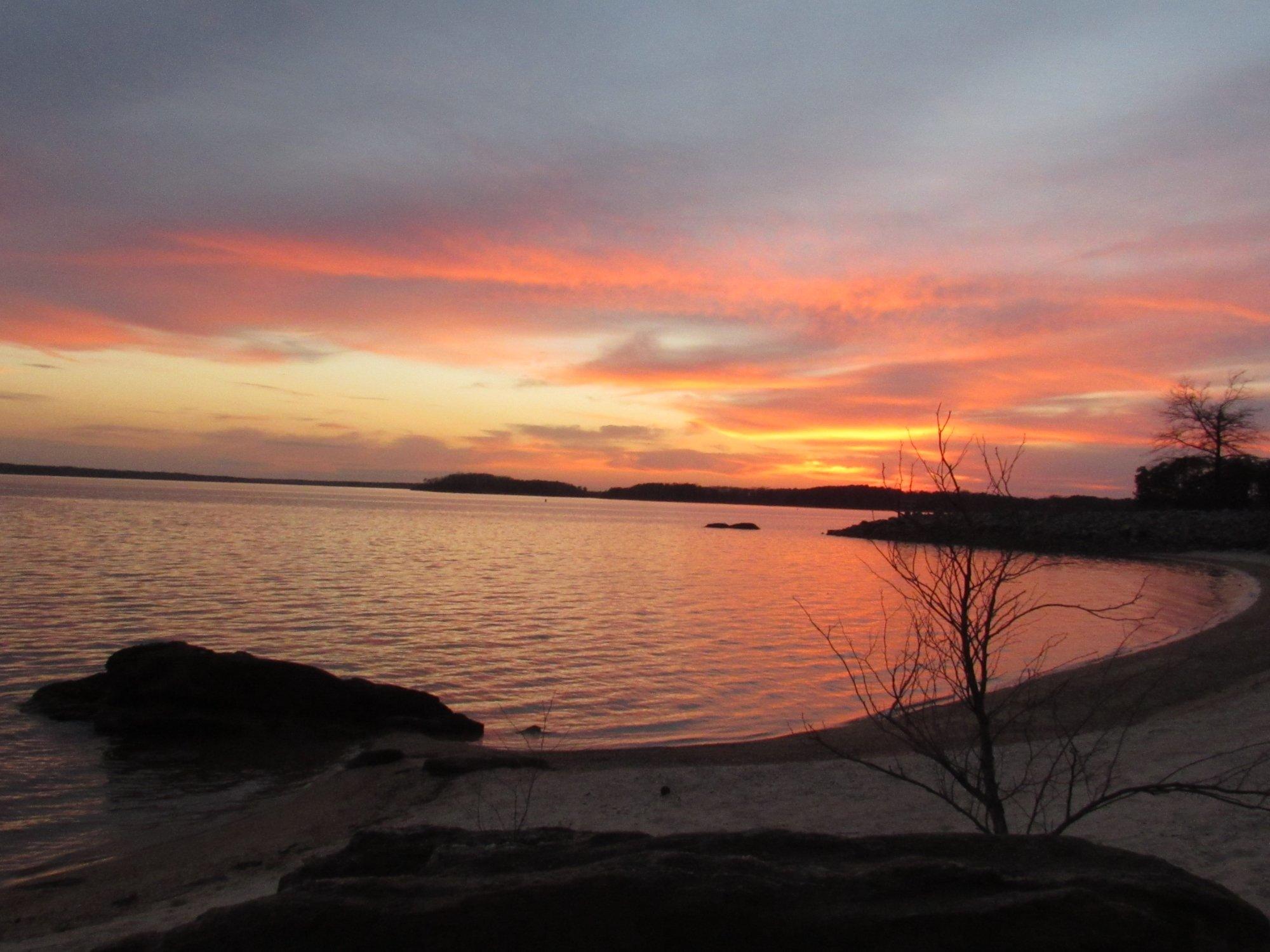 Photo by jeannette y