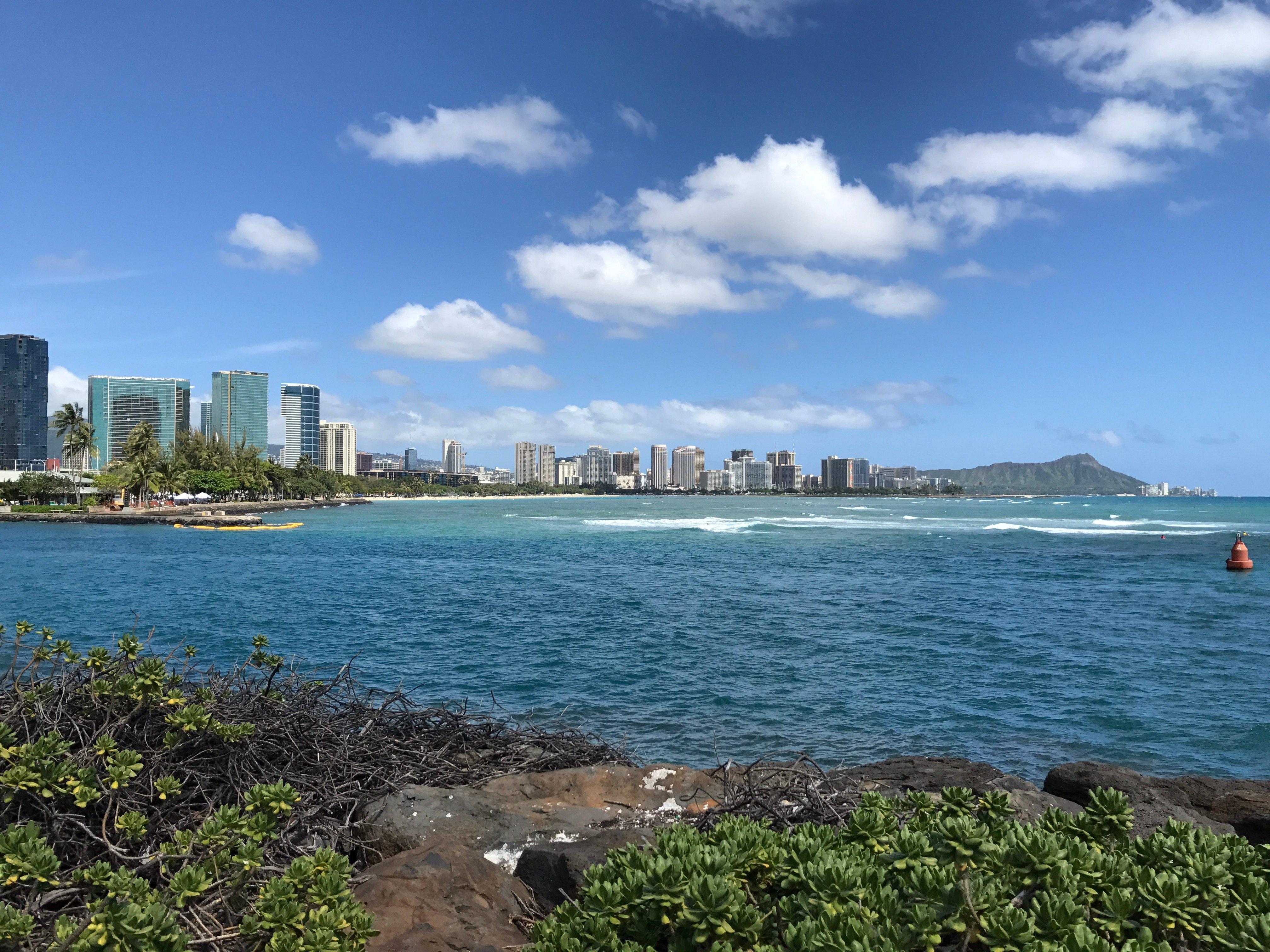 Kaka'ako Waterfront Park