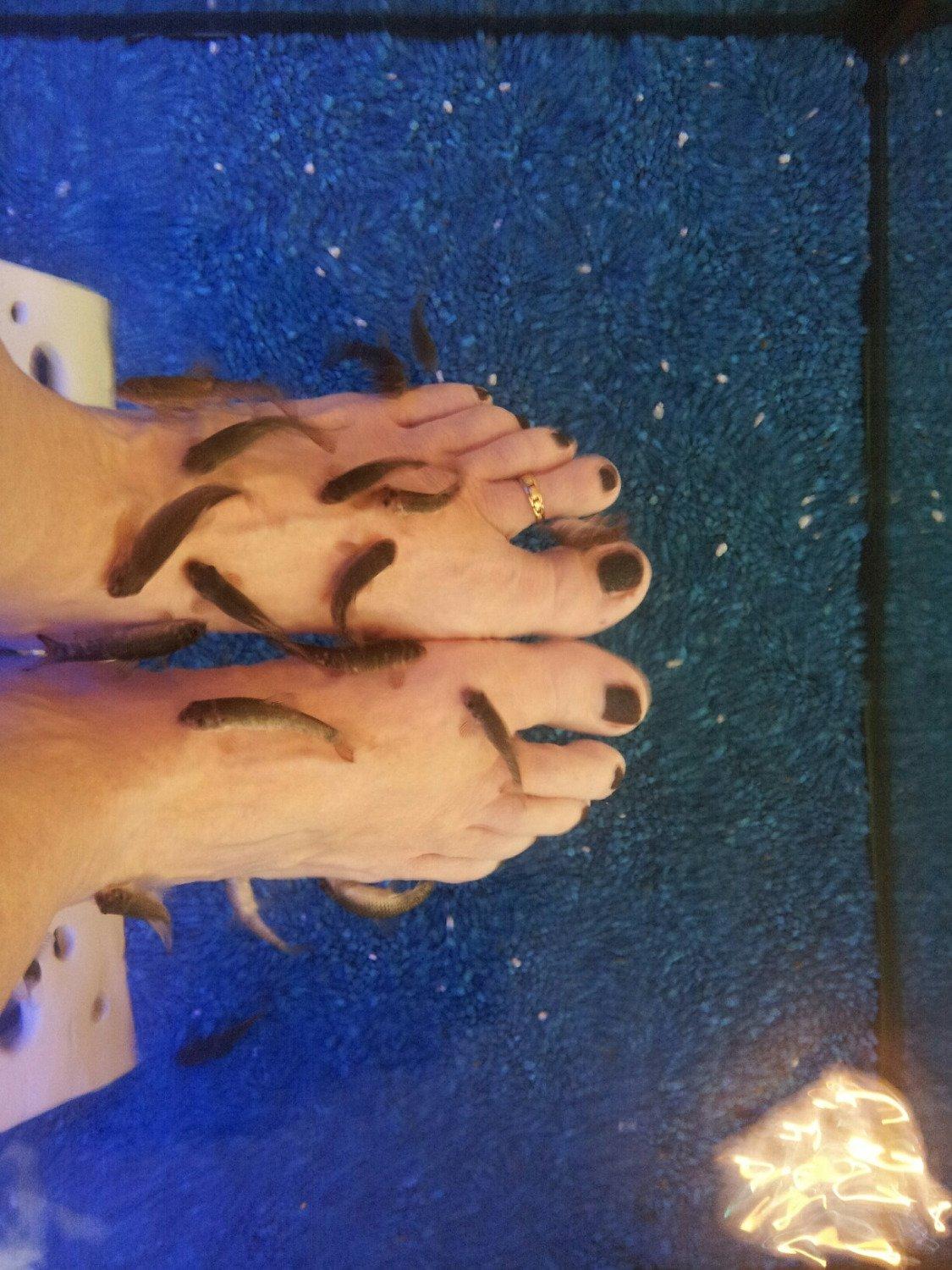 Fussfisch Spa -Tierisch gute Kosmetik