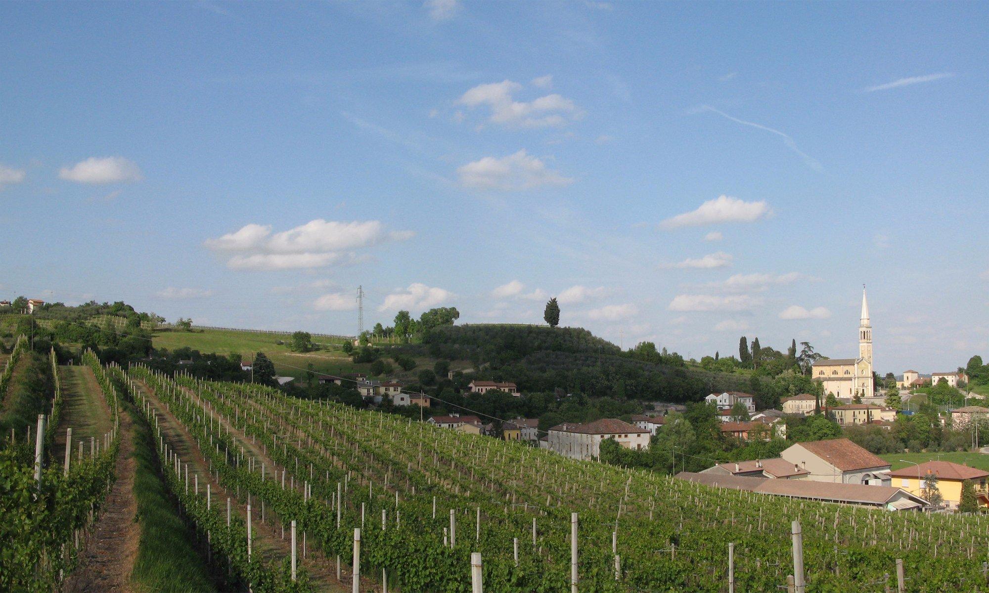 Cantina Nani 1967 - Tenuta Castello di Rubaro