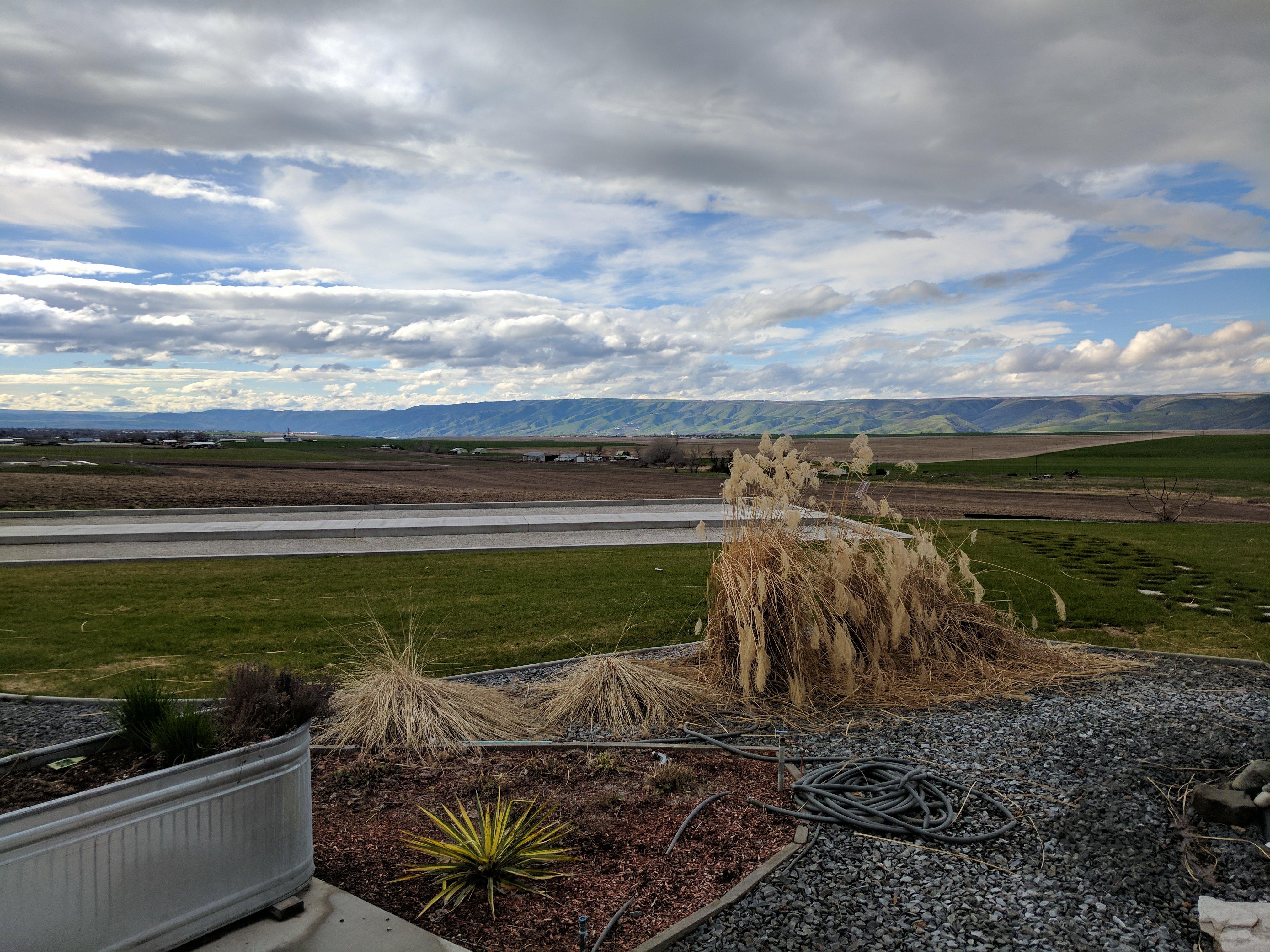 Lindsay Creek Vineyards