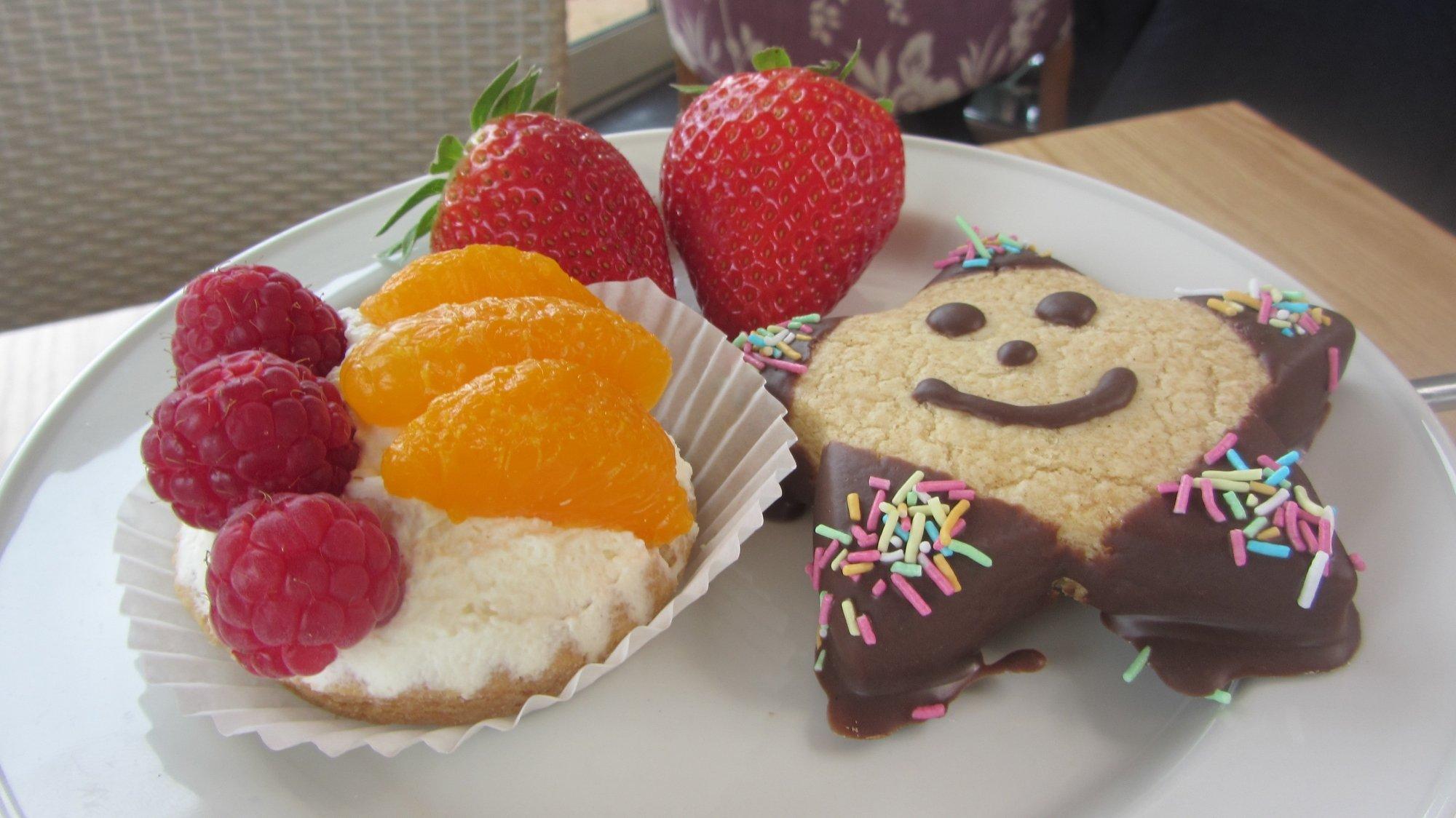 Dobbies Garden Centre Ponteland