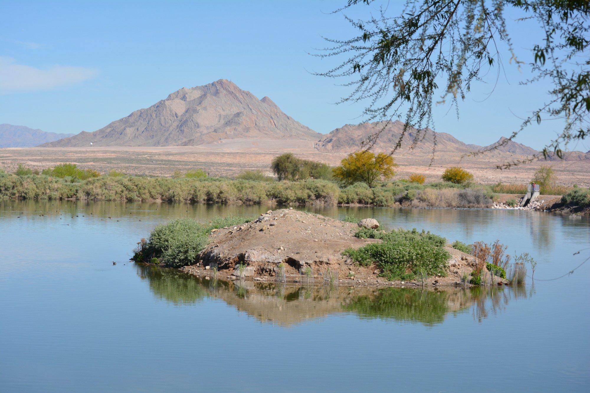 Henderson Bird Viewing Preserve