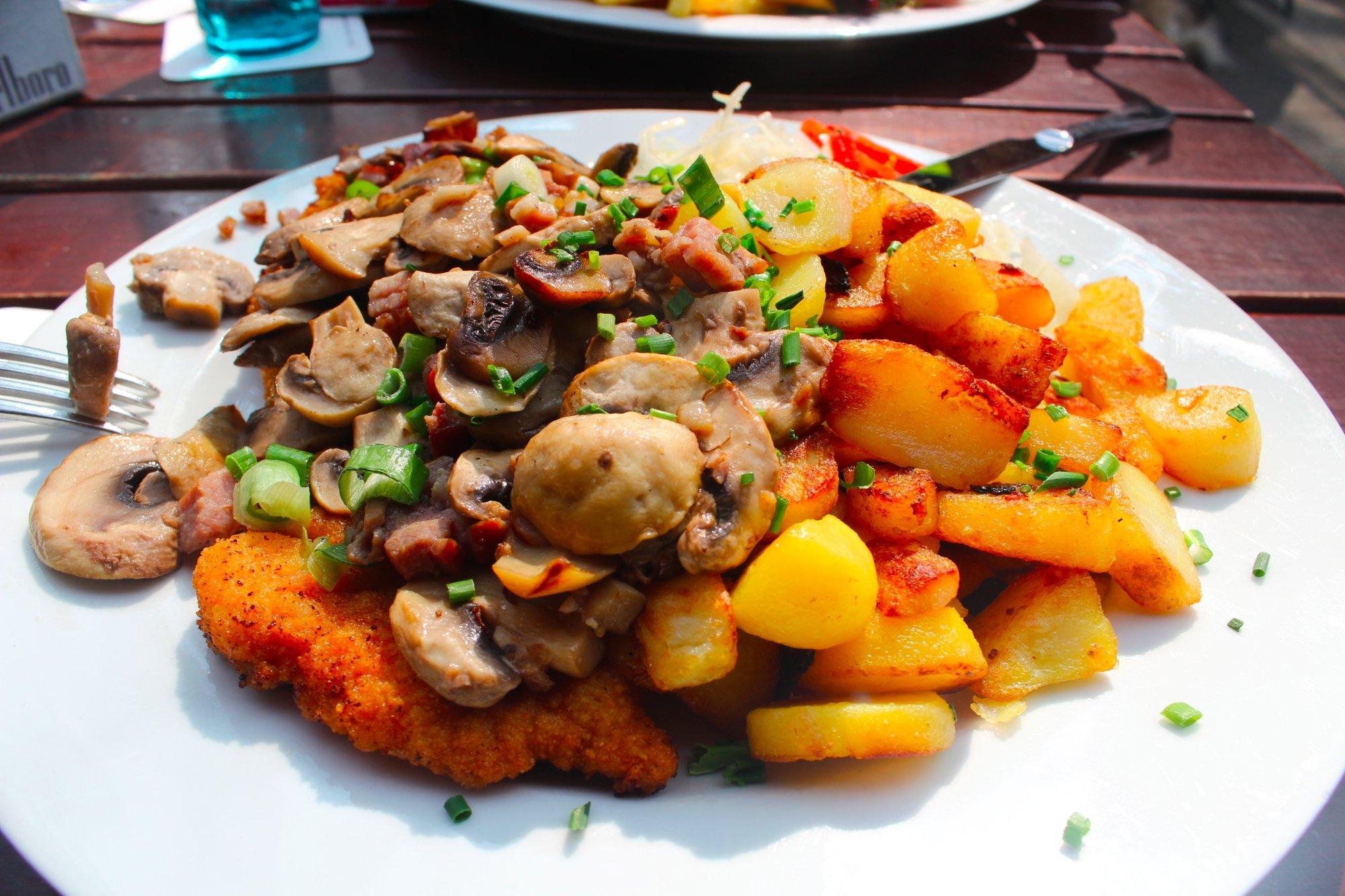 Photo by Antinoocruz