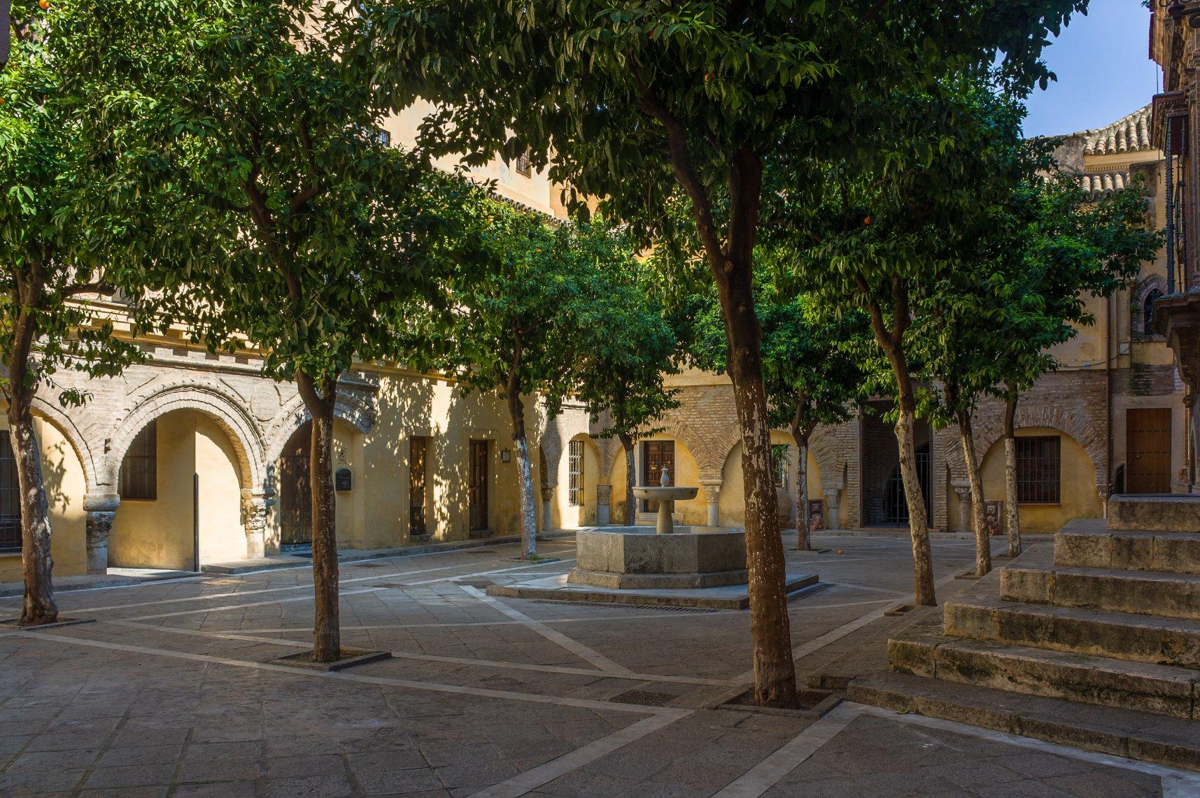 Cultura, Compromiso Colectivo