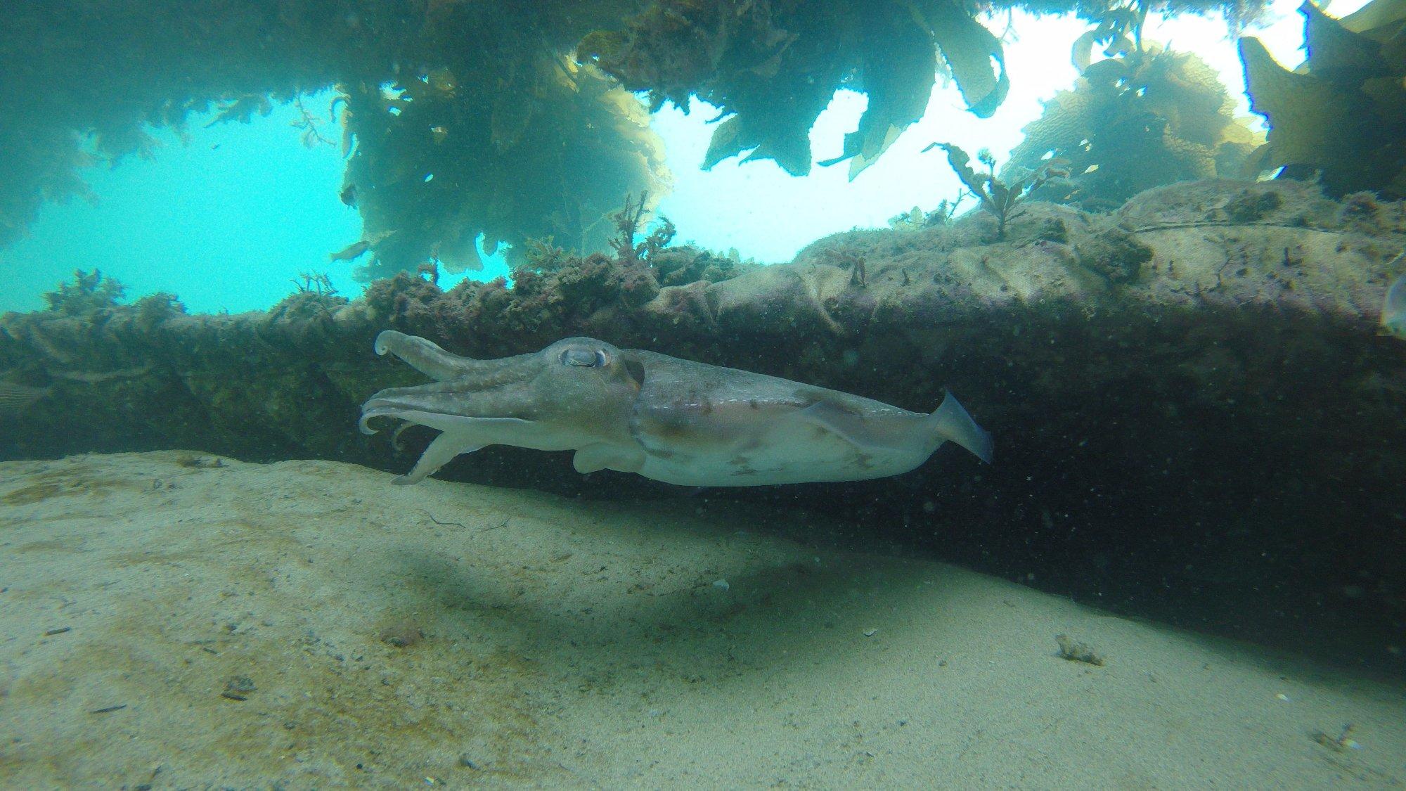 Photo by nataliebK2977SQ