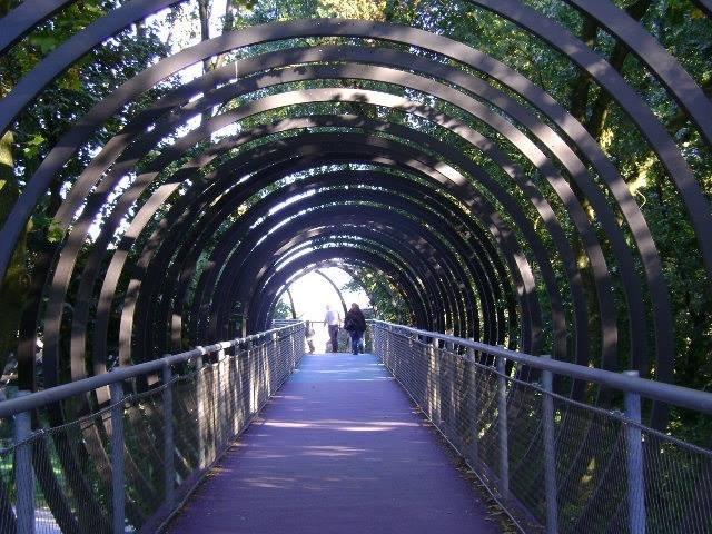 Slinky Springs to Fame