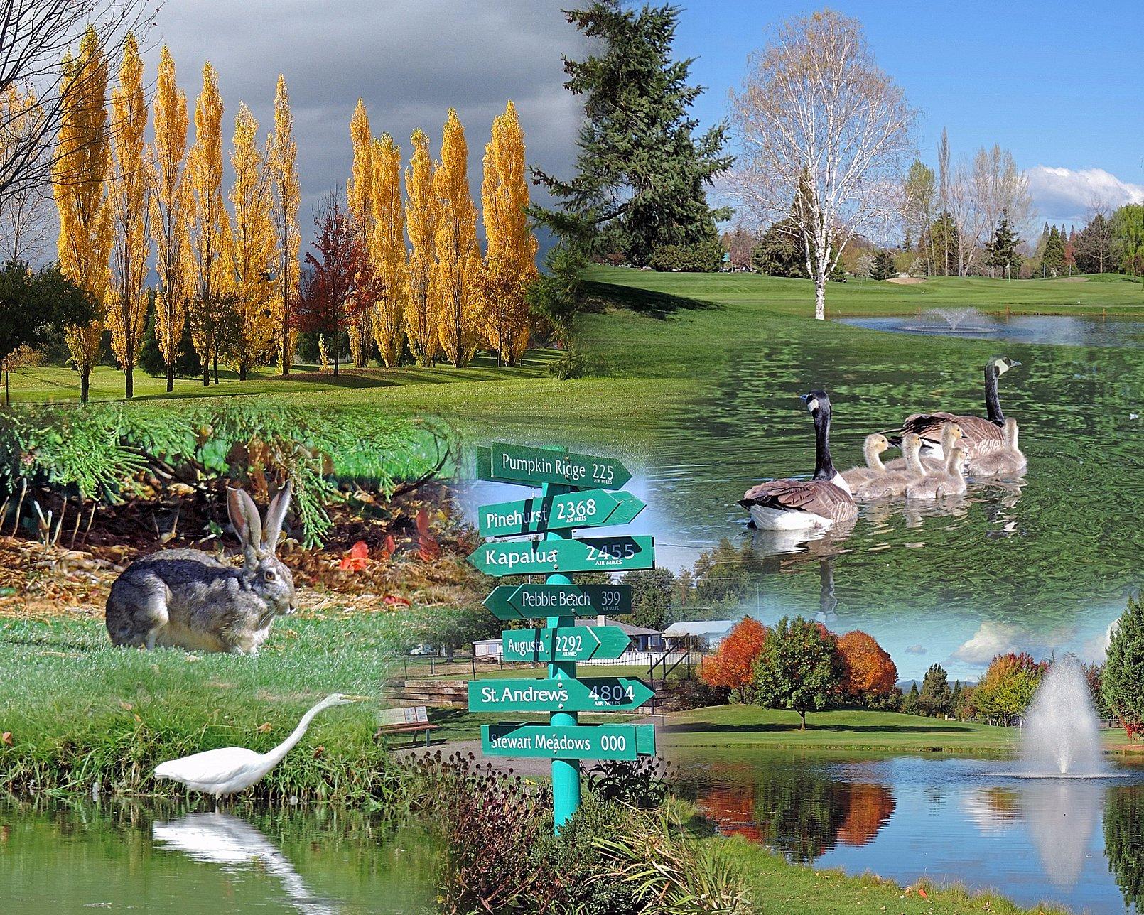 Stewart Medows Golf Course