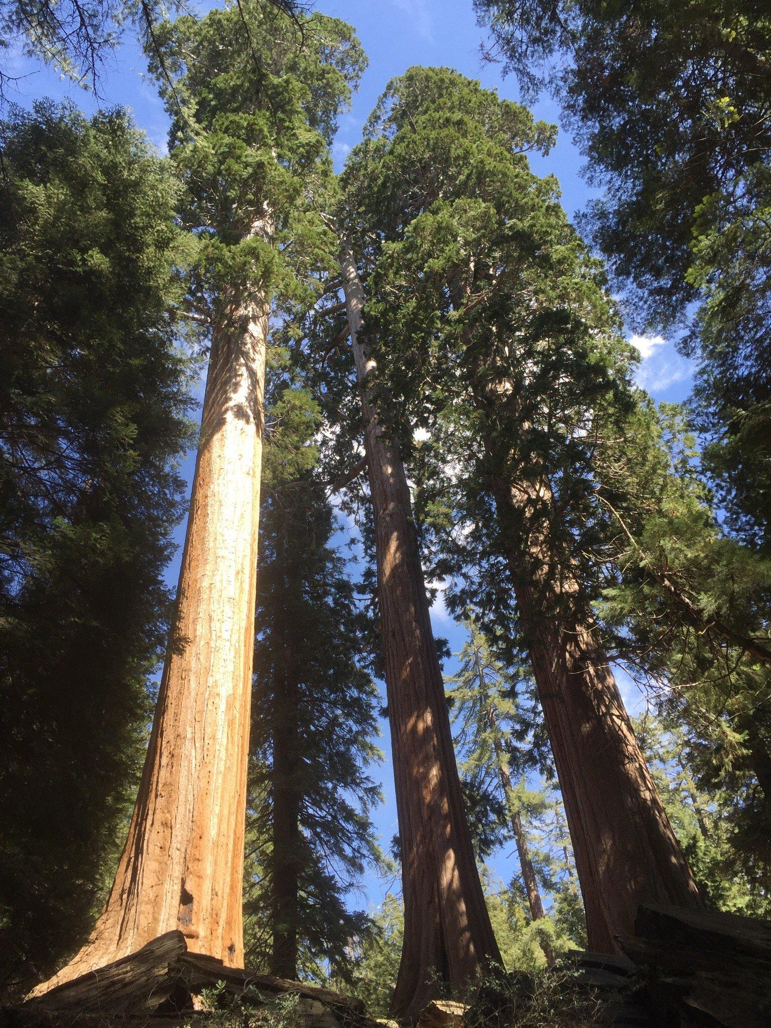 Photo by 390whitneym