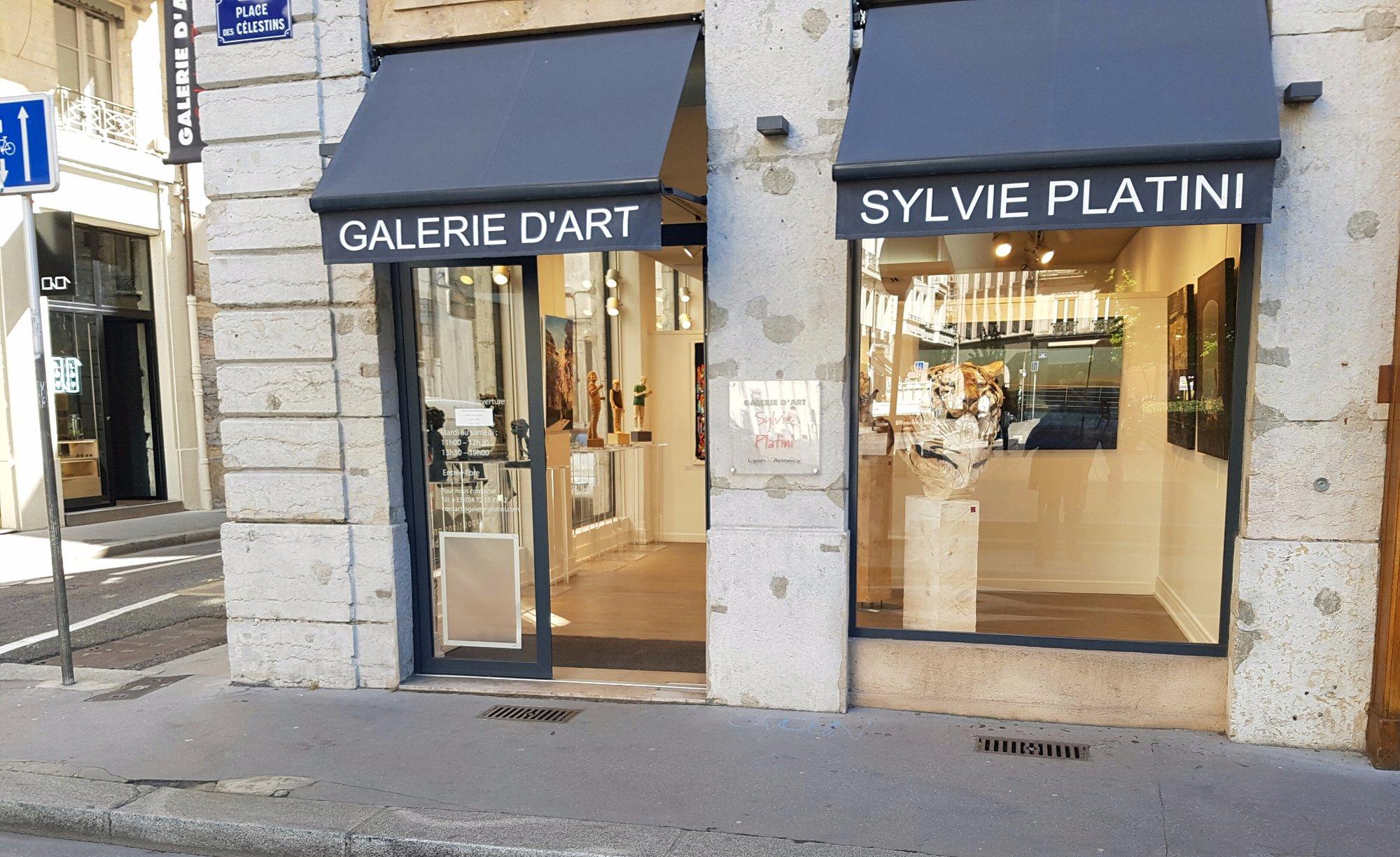 Galerie d'Art Sylvie Platini