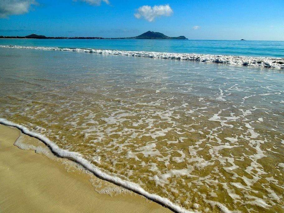 Paradise Palms Bed and Breakfast