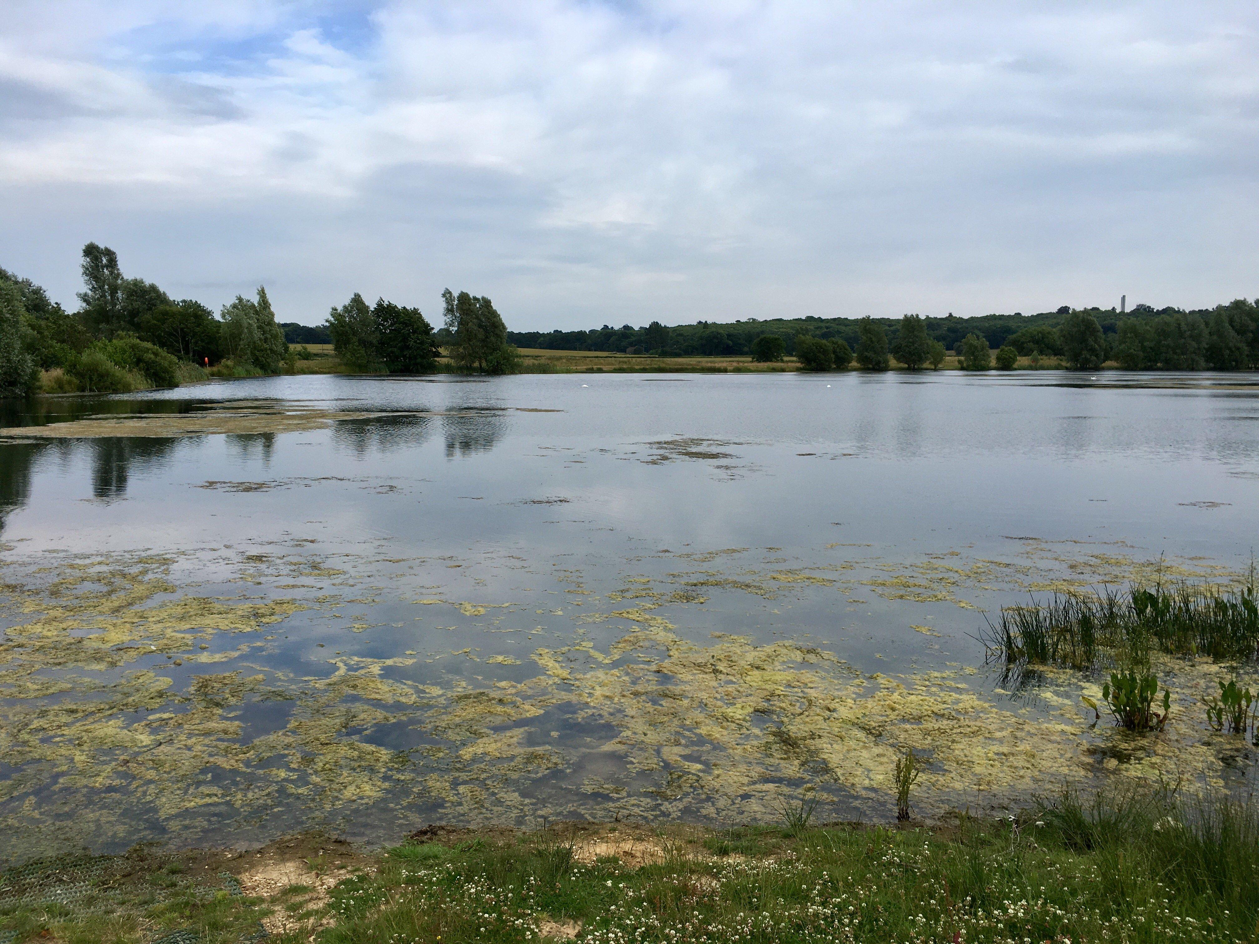 Conningbrook Lakes Country Park