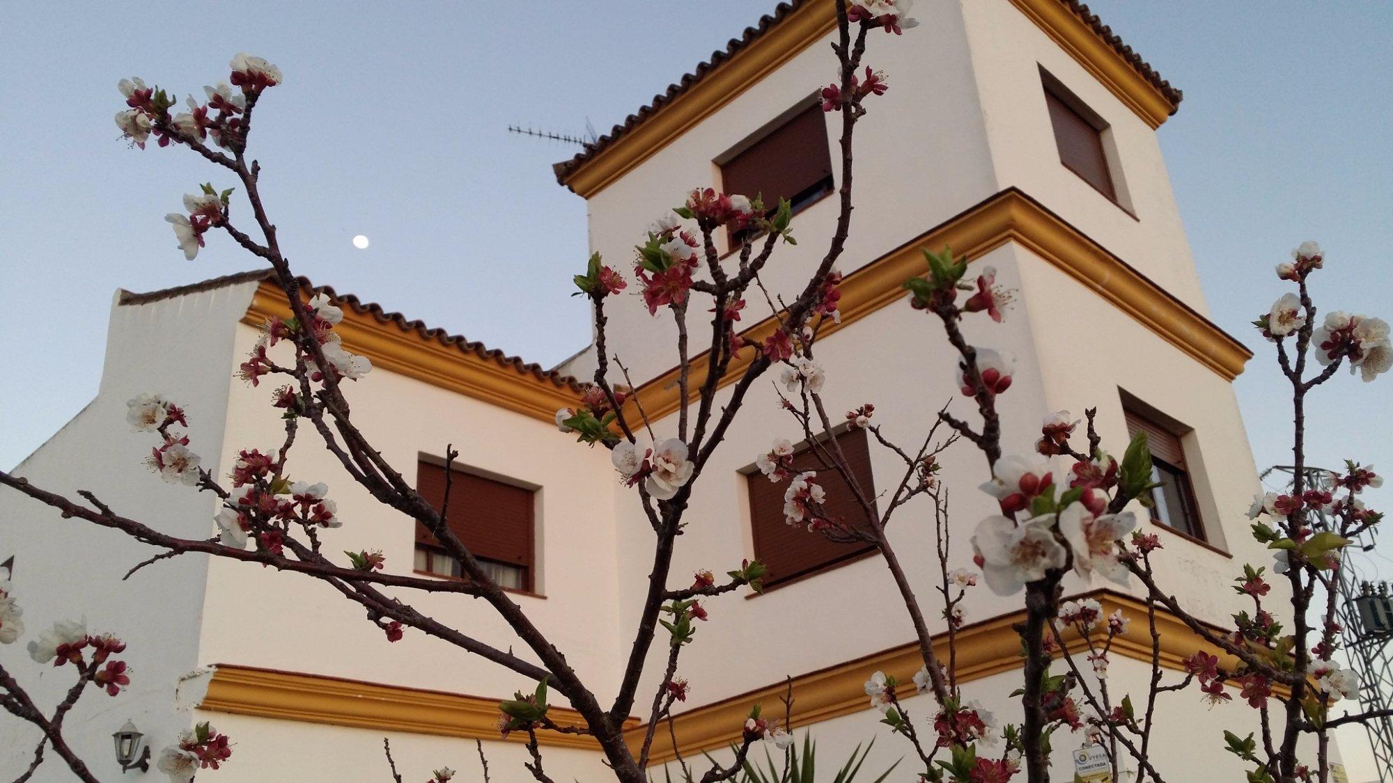 Hostal Rural la Plata