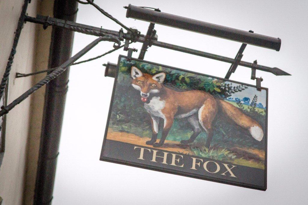 The Fox