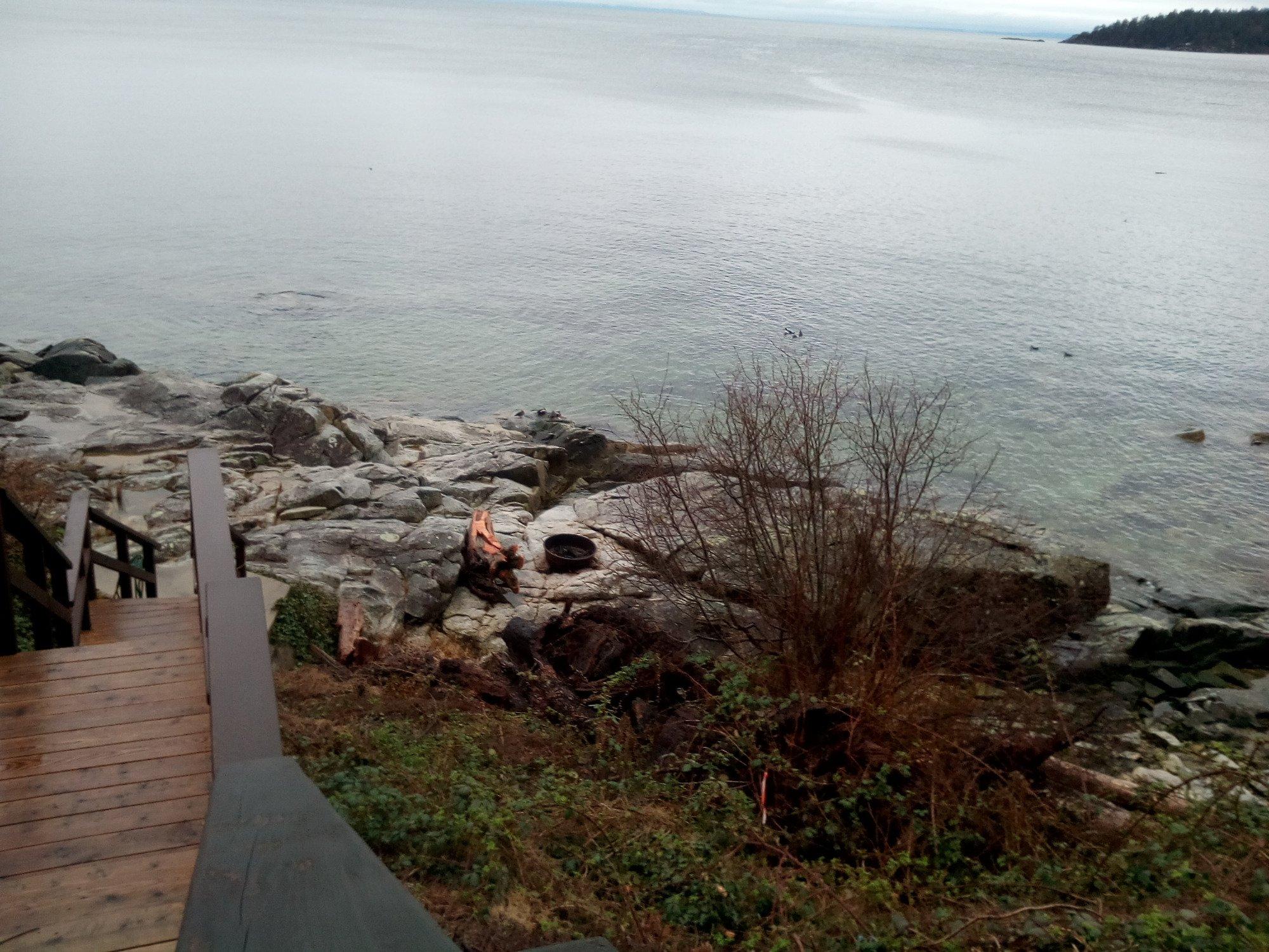 Catch of the Day Cottages