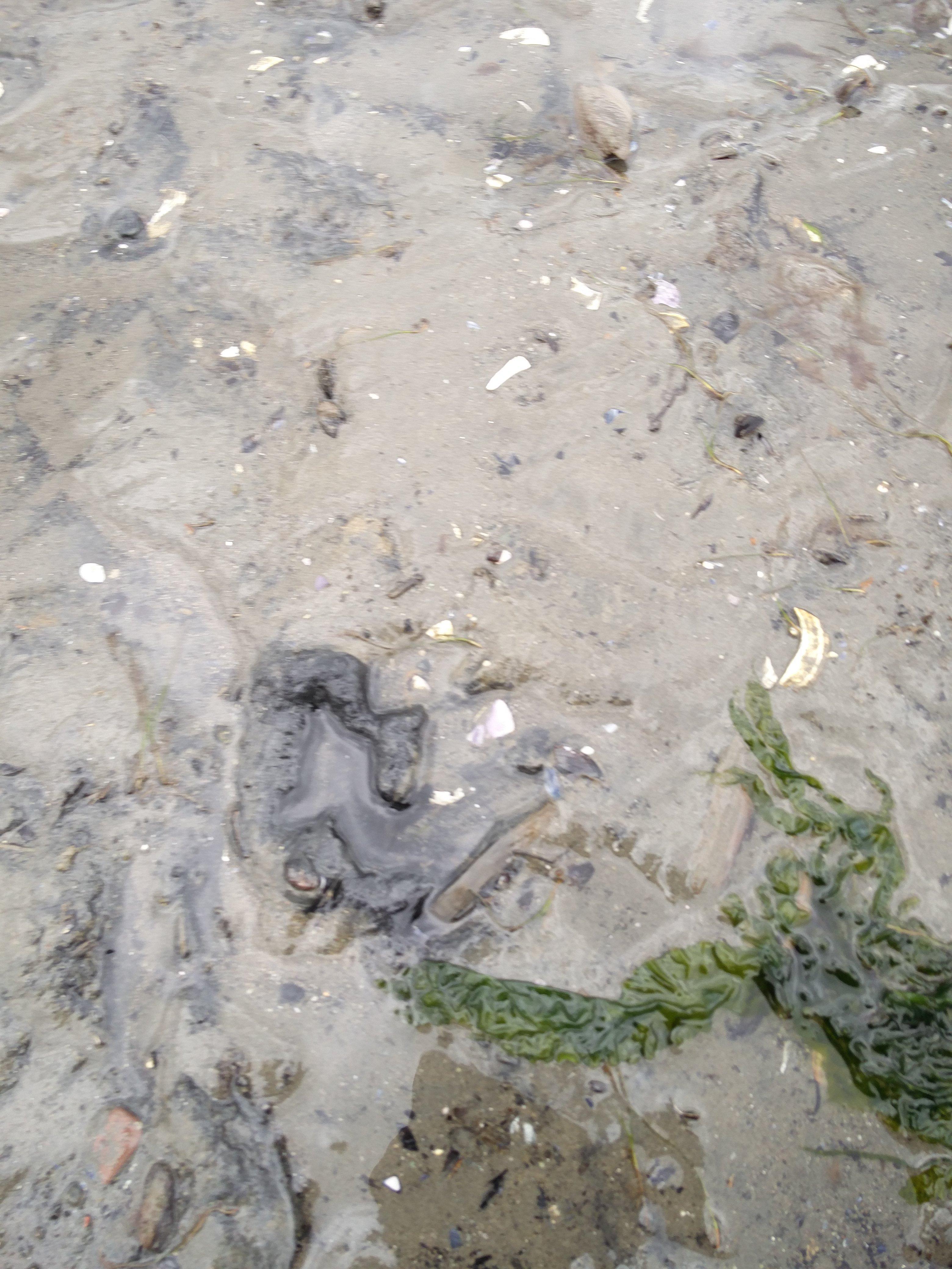 Locarno Beach