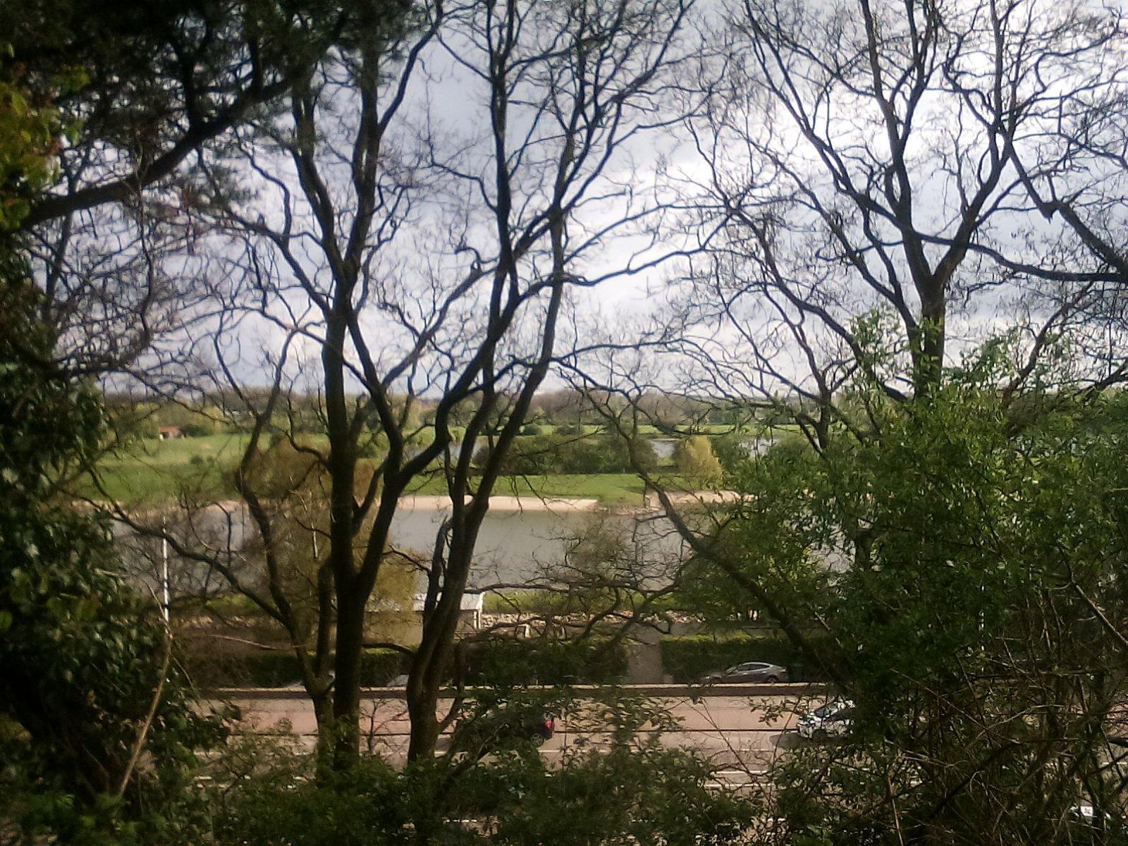 Stadsblokken Meinerswijk