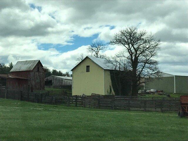 Photo by mfisher2017